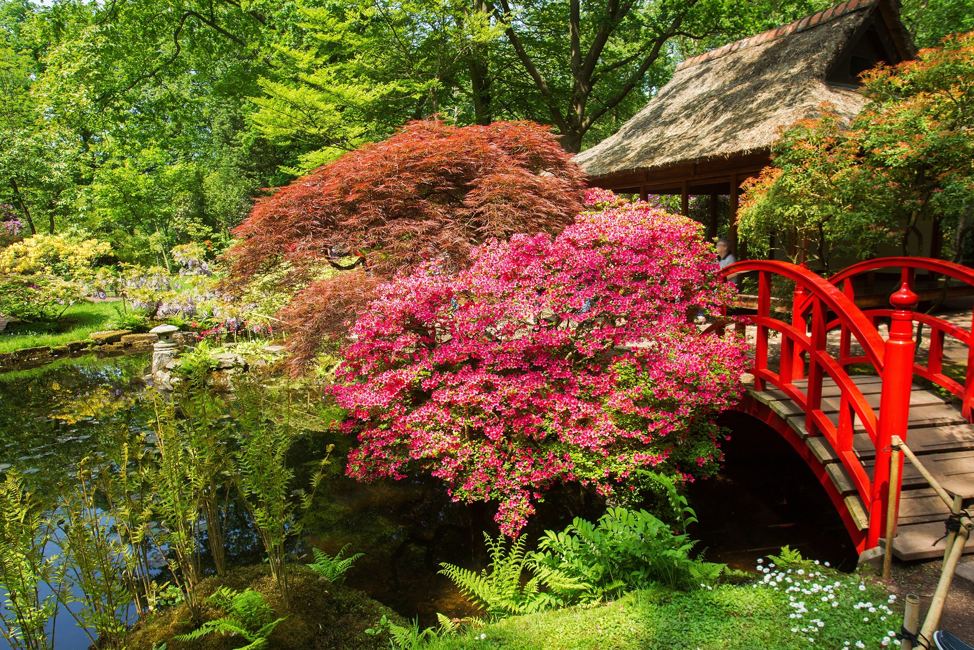 Papermoon Fototapete »GARTEN-BLUMEN BÄUME PFLANZEN STEINE WALD PARK BLÜTEN«