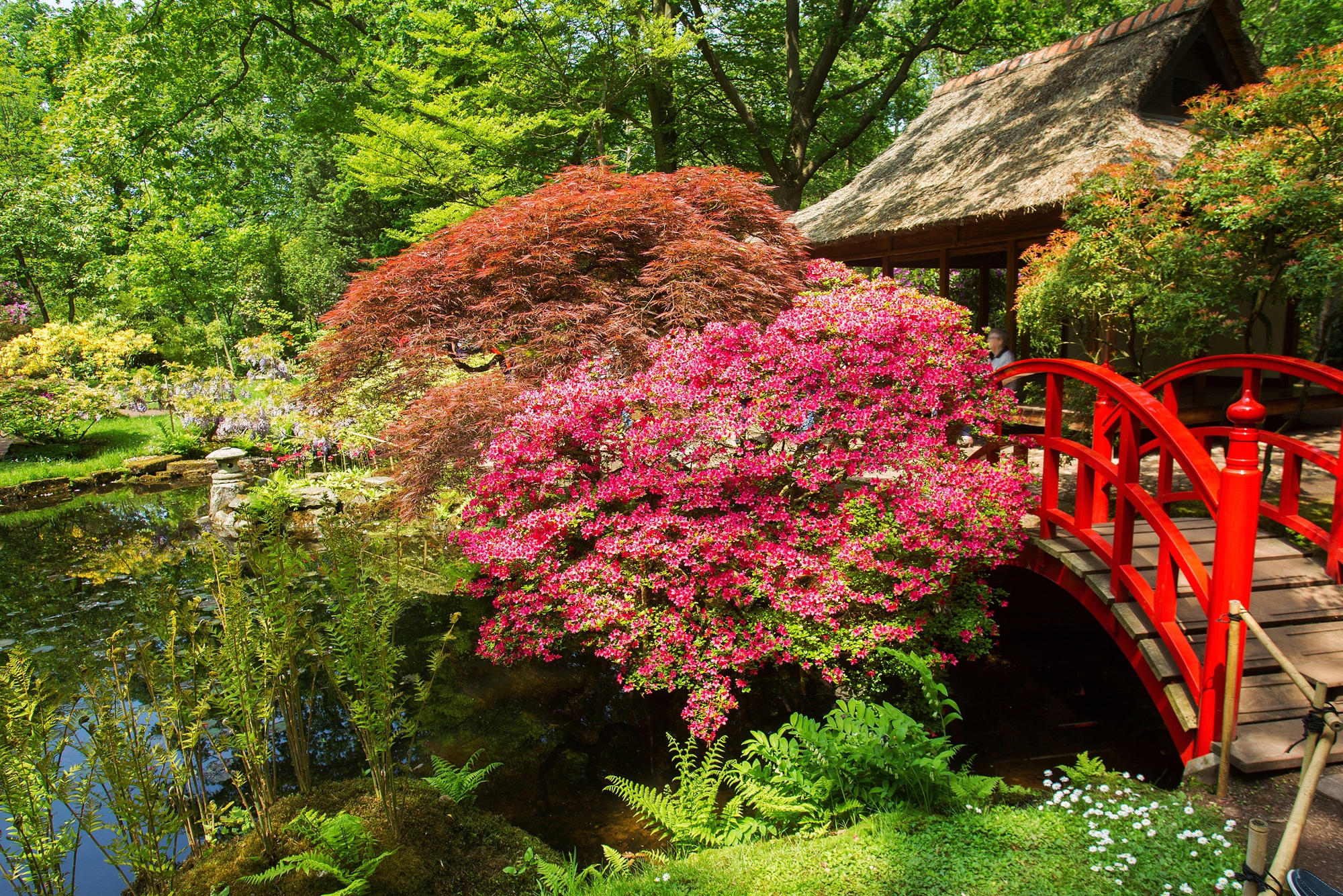 Papermoon Fototapete "GARTEN-BLUMEN BÄUME PFLANZEN STEINE WALD PARK BLÜTEN"