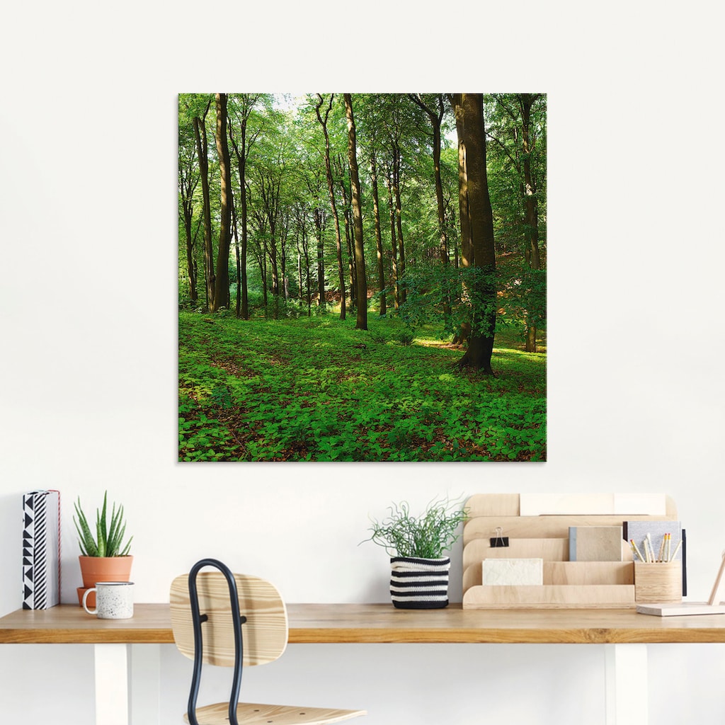 Artland Glasbild »Panorama von einem grünen Sommerwald«, Wald, (1 St.)