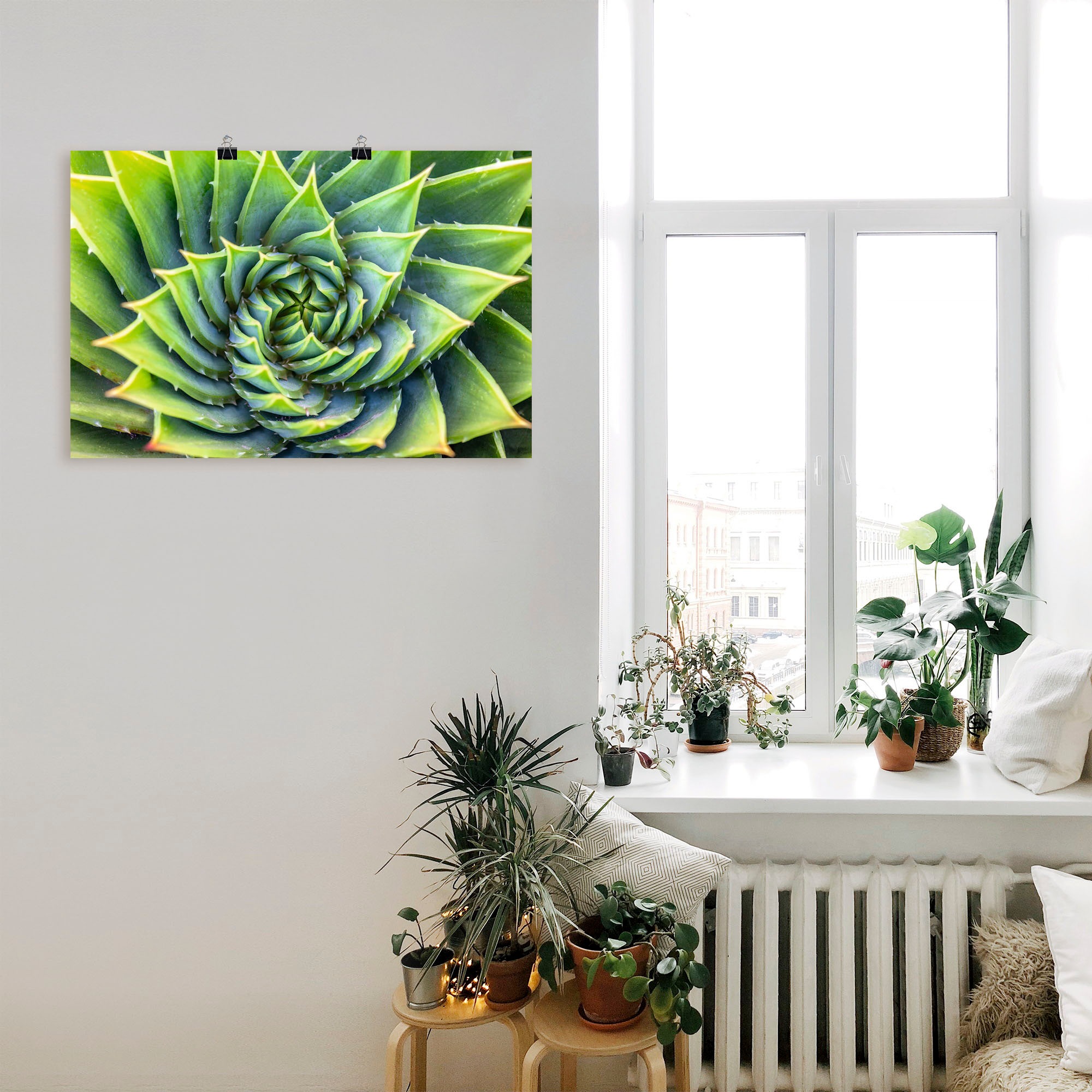 Artland Wandbild »Grüne Spirale«, Pflanzenbilder, (1 St.), als Alubild, Leinwandbild, Wandaufkleber oder Poster in versch. Größen