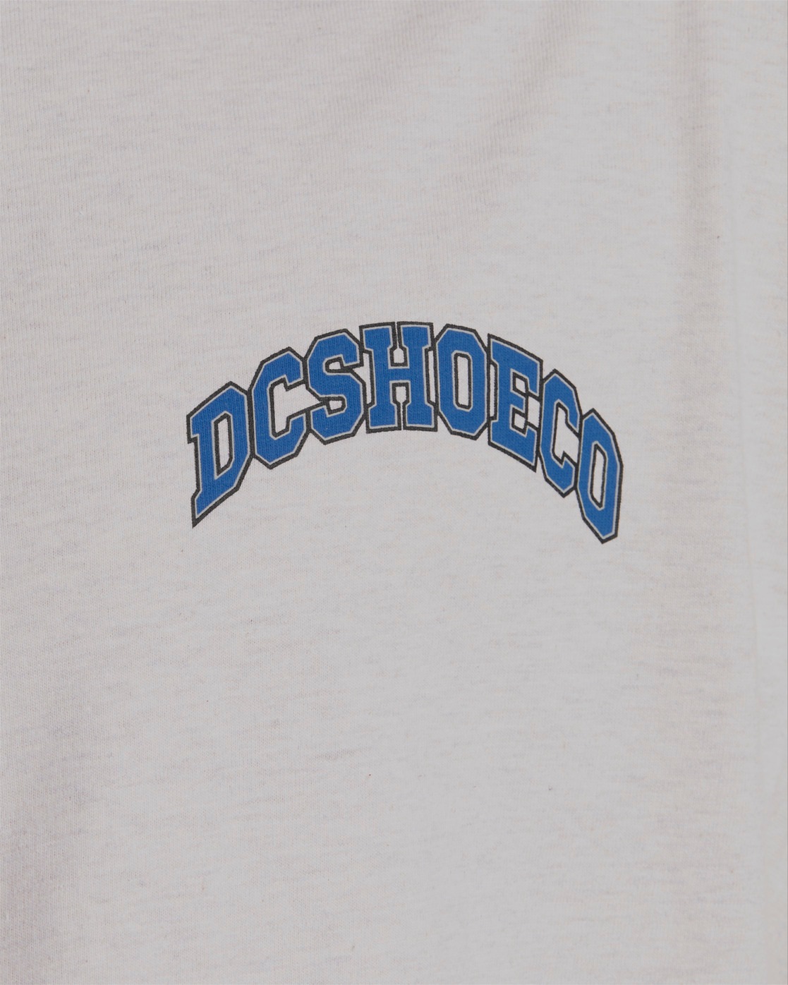 DC Shoes T-Shirt »Orientation«