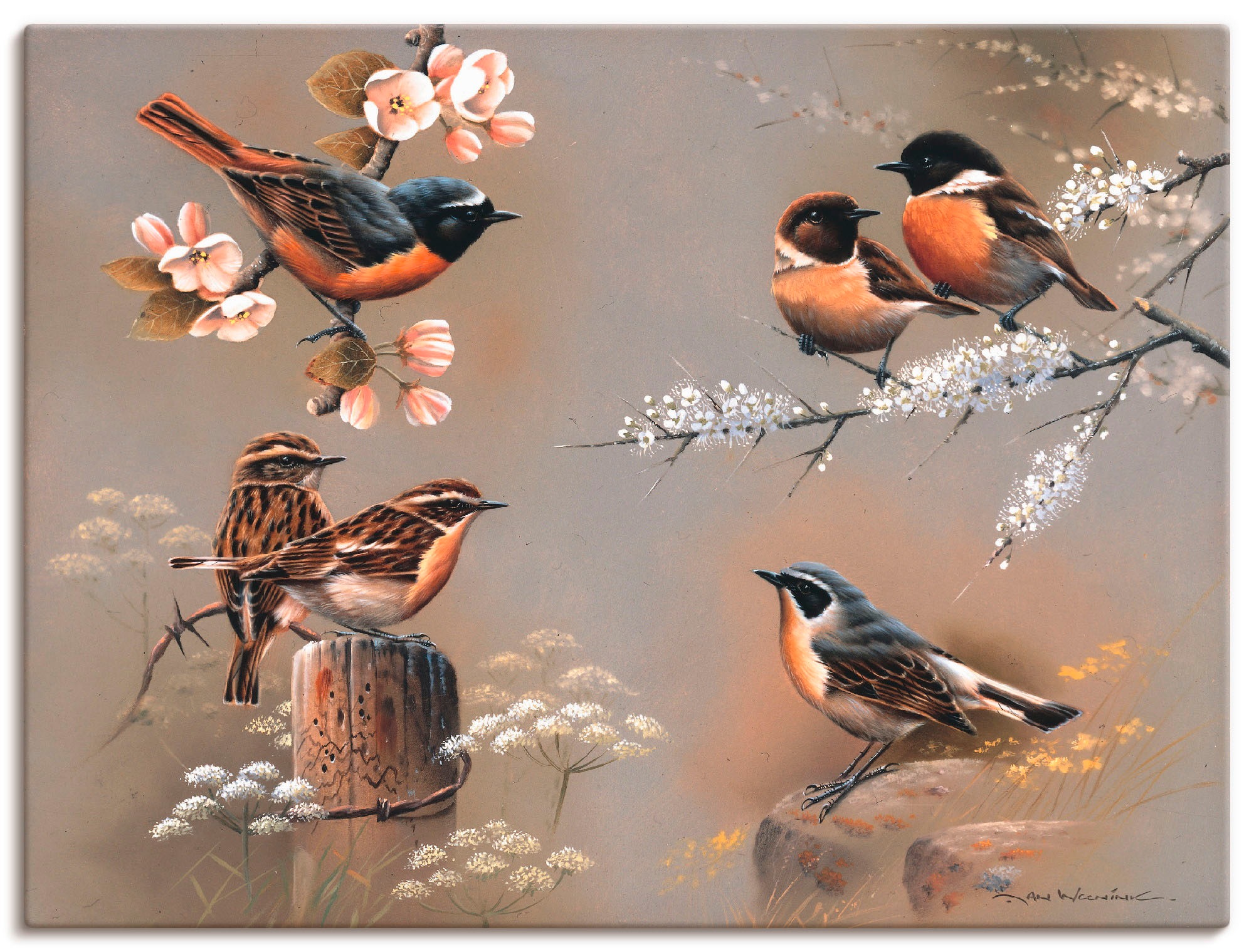 Artland Leinwandbild "Vogel Komposition" Vögel 1 Stk. tlg. auf Holzrahmen gespannt