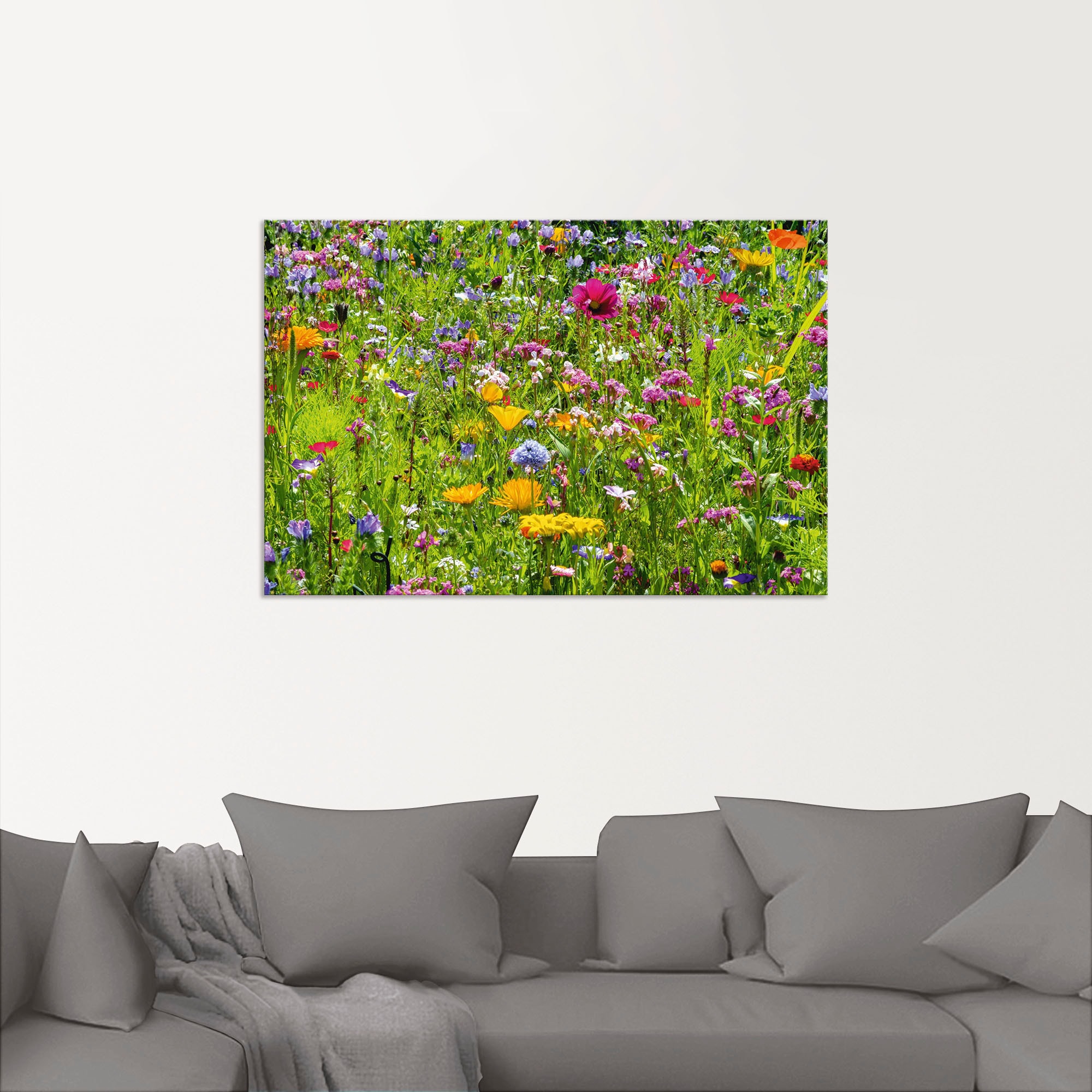 Artland Wandbild »Bunte Blumenwiese«, Blumenwiese, (1 St.), als Alubild, Outdoorbild, Leinwandbild, Poster, Wandaufkleber