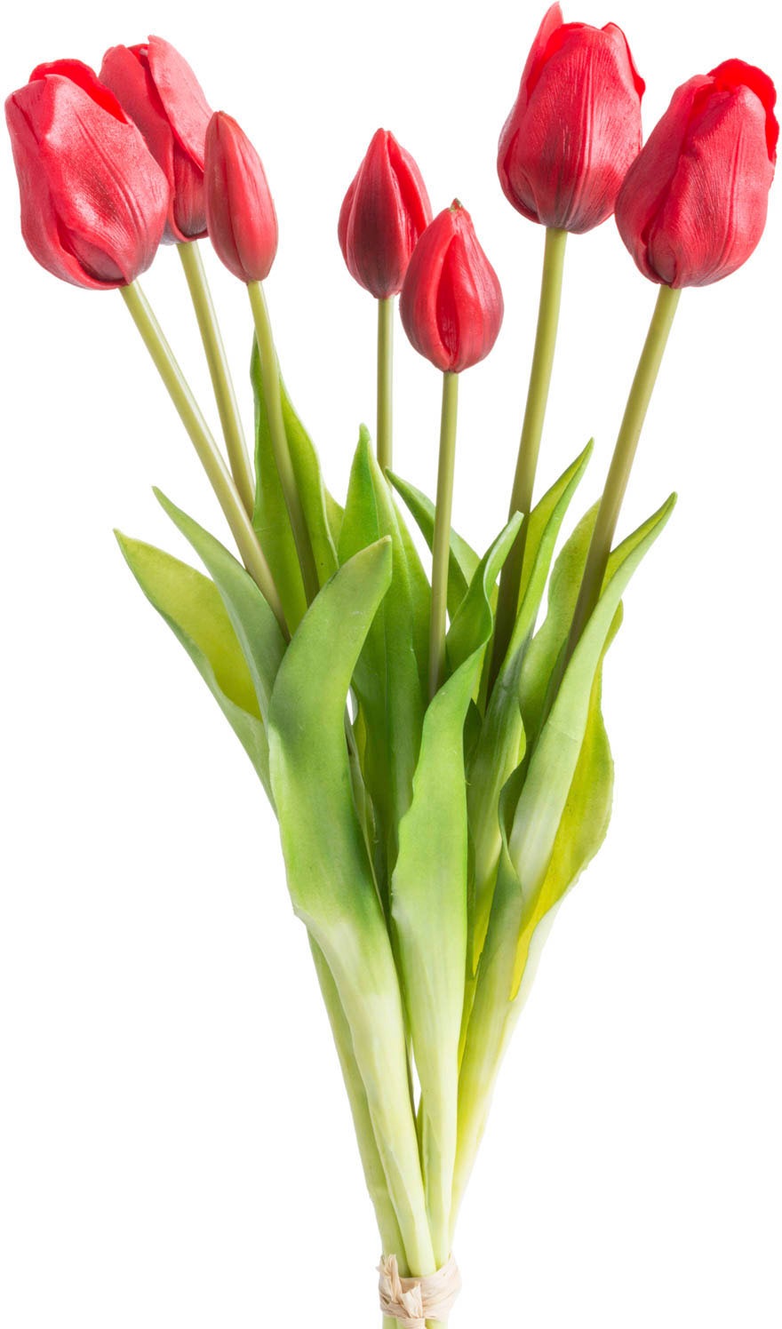OTTO home Kunstpflanze "Maiva" Tulpenbündel im 7er-Set