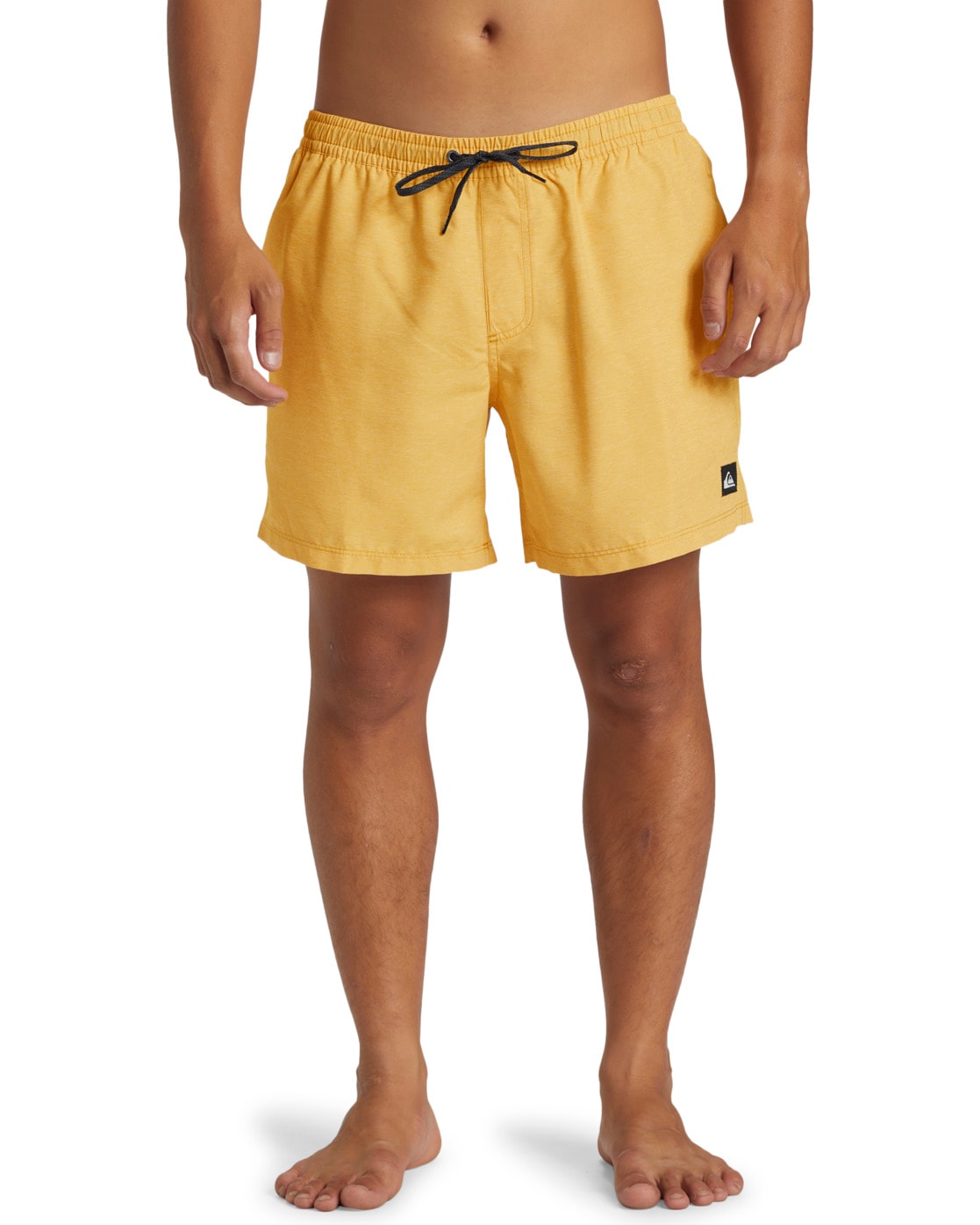 Quiksilver Maudymosi šortai »Everyday Deluxe Voll...
