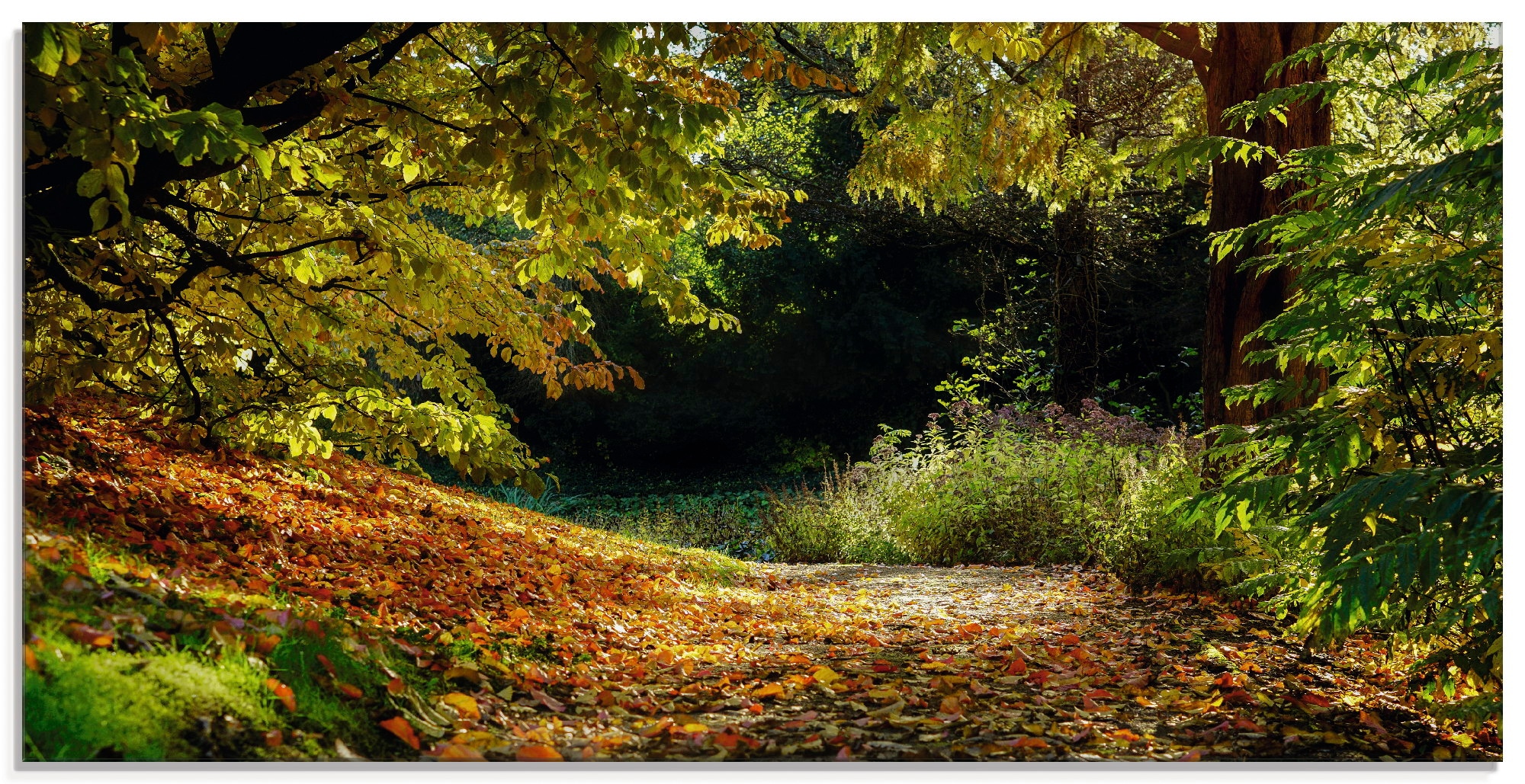 Artland Glasbild "Herbstteppich", Wald, (1 St.), in verschiedenen Größen