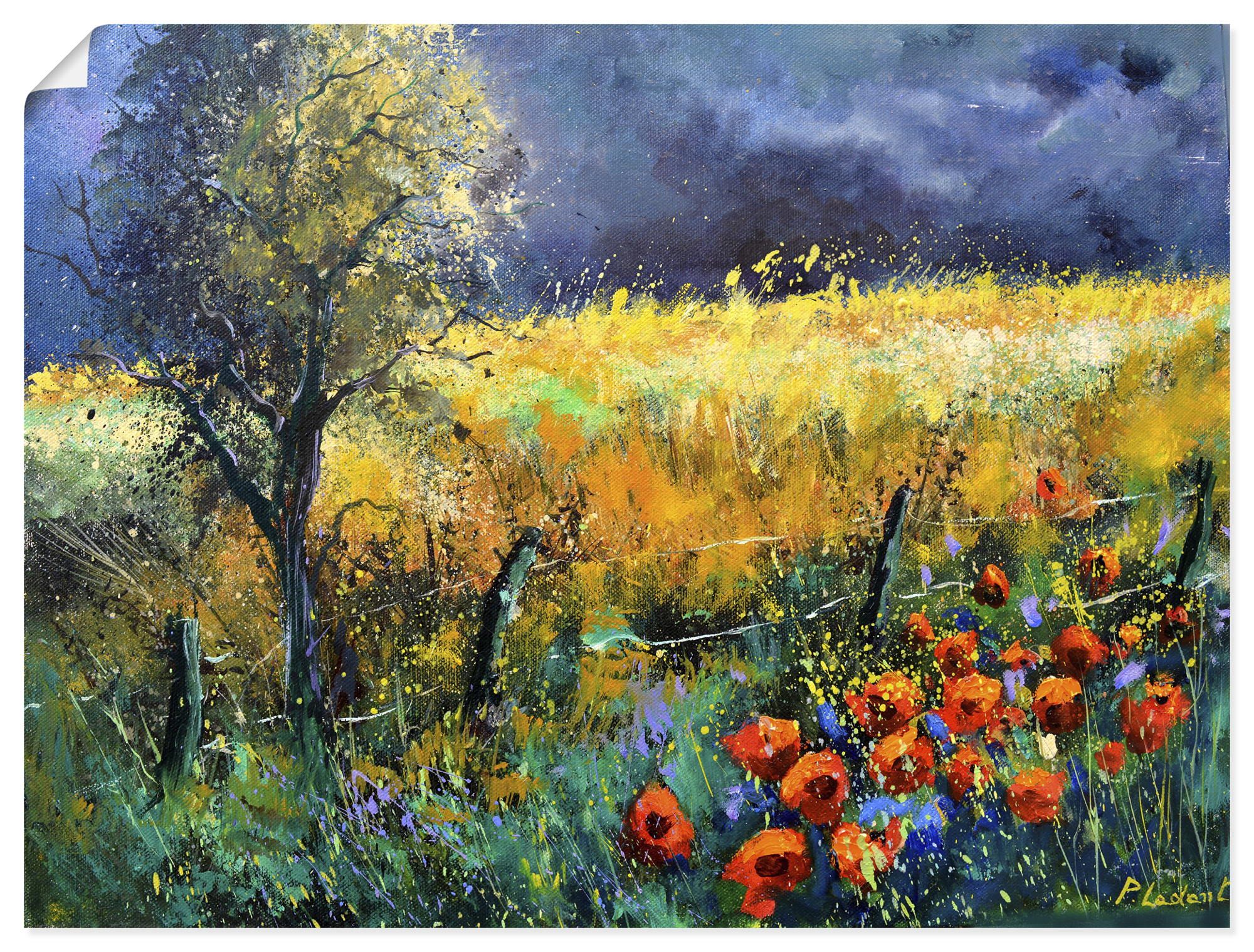 Artland "Red poppies" Wiesen & Baumbilder 1 Stk. tlg. als Alubild, Leinwandbild, Poster, Wandaufkleber in verschied. Größen