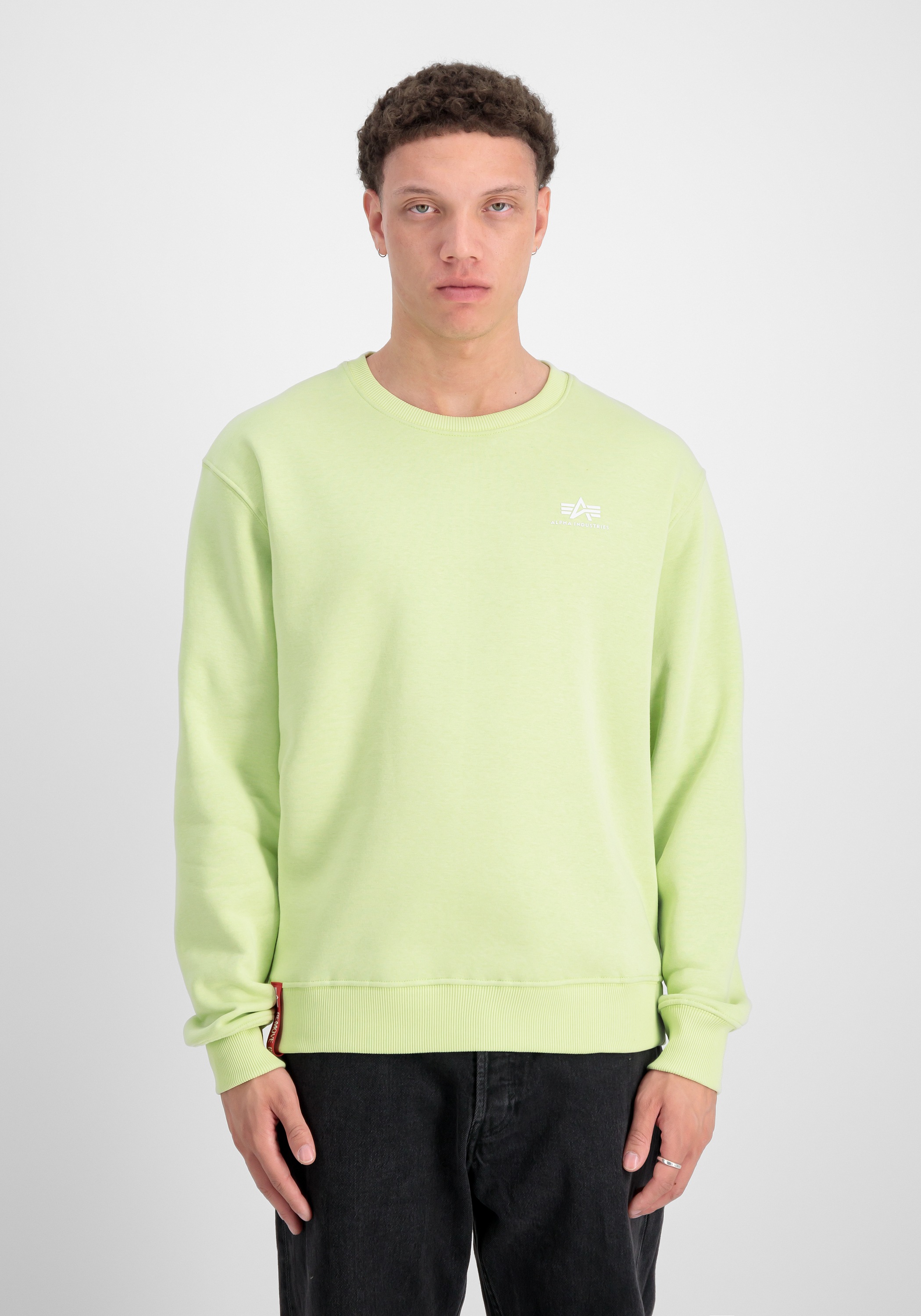 Alpha Industries Sweater »Basic Sweatshirt SL«