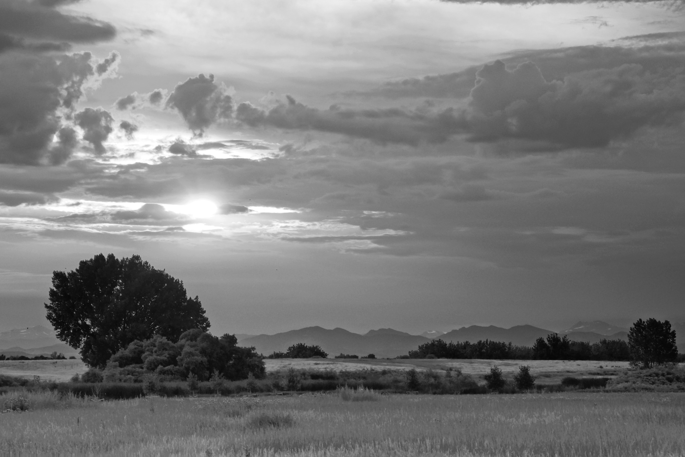 Papermoon Fototapete »Landschaft Schwarz & Weiß«