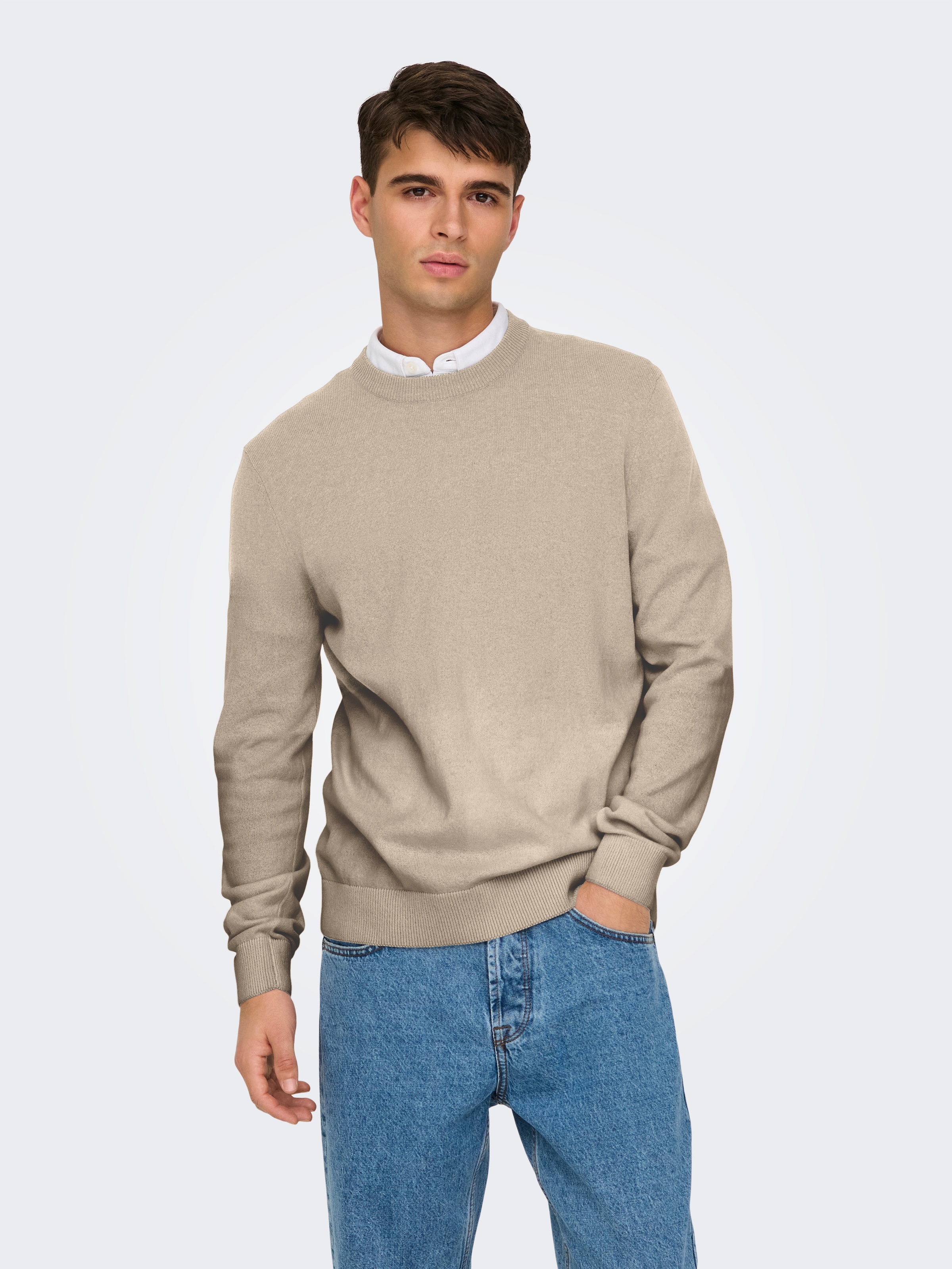 ONLY & SONS Rundhalspullover »ONSREX LIFE REG 12 CREW KNIT«