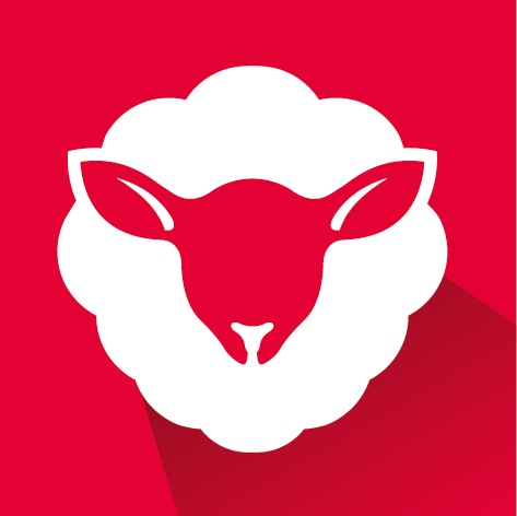 Rieker Winterstiefelette Winterboots, Schnürboots mit wasserabweisender rie günstig online kaufen