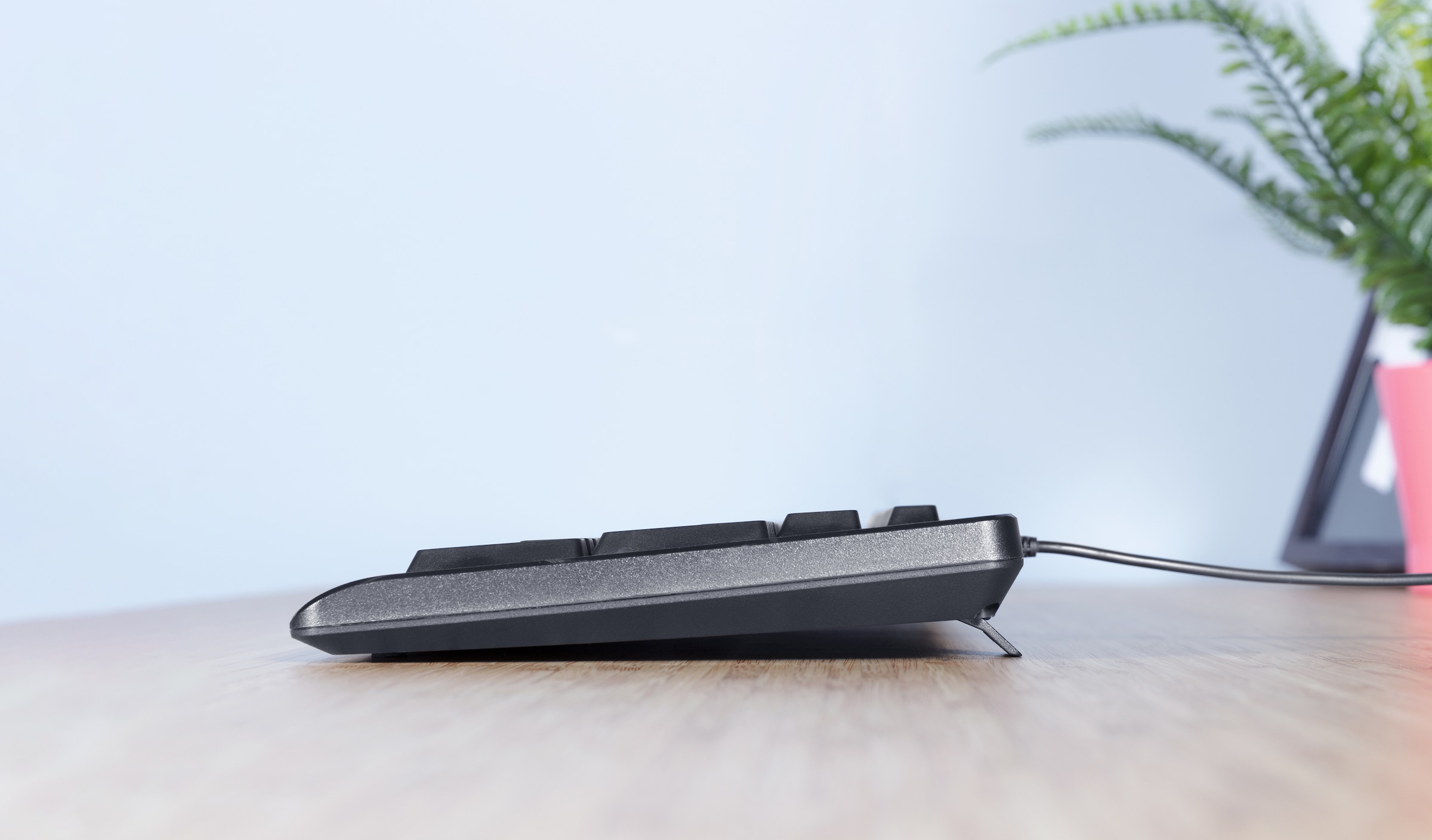 Trust Tastatur »TK-150« (USB-Anschluss | Windows-Sperrtaste | Ziffernblock)