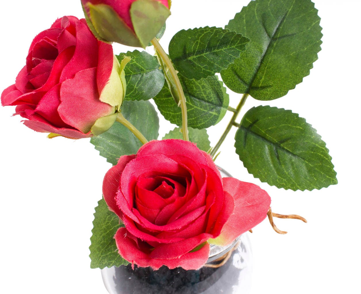 Botanic-Haus Kunstblume »Rosen im Glas« | kaufen BAUR