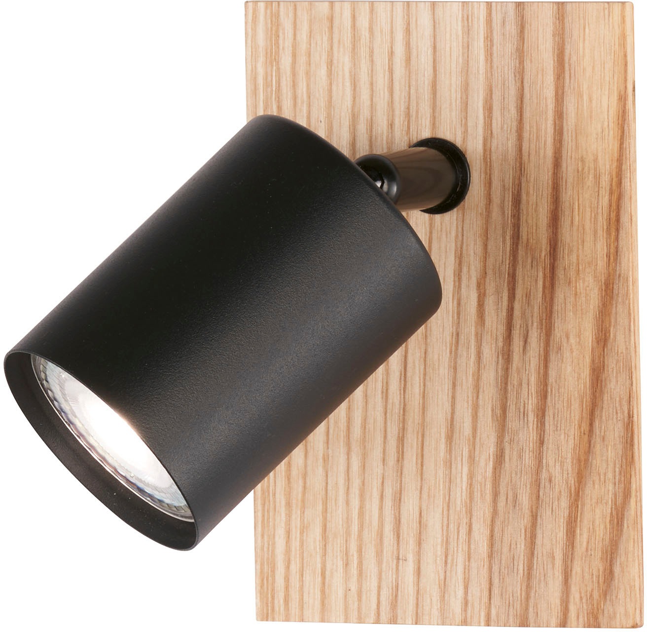 FISCHER & HONSEL FISCHER & HONSEL Wandstrahler »Holton«...