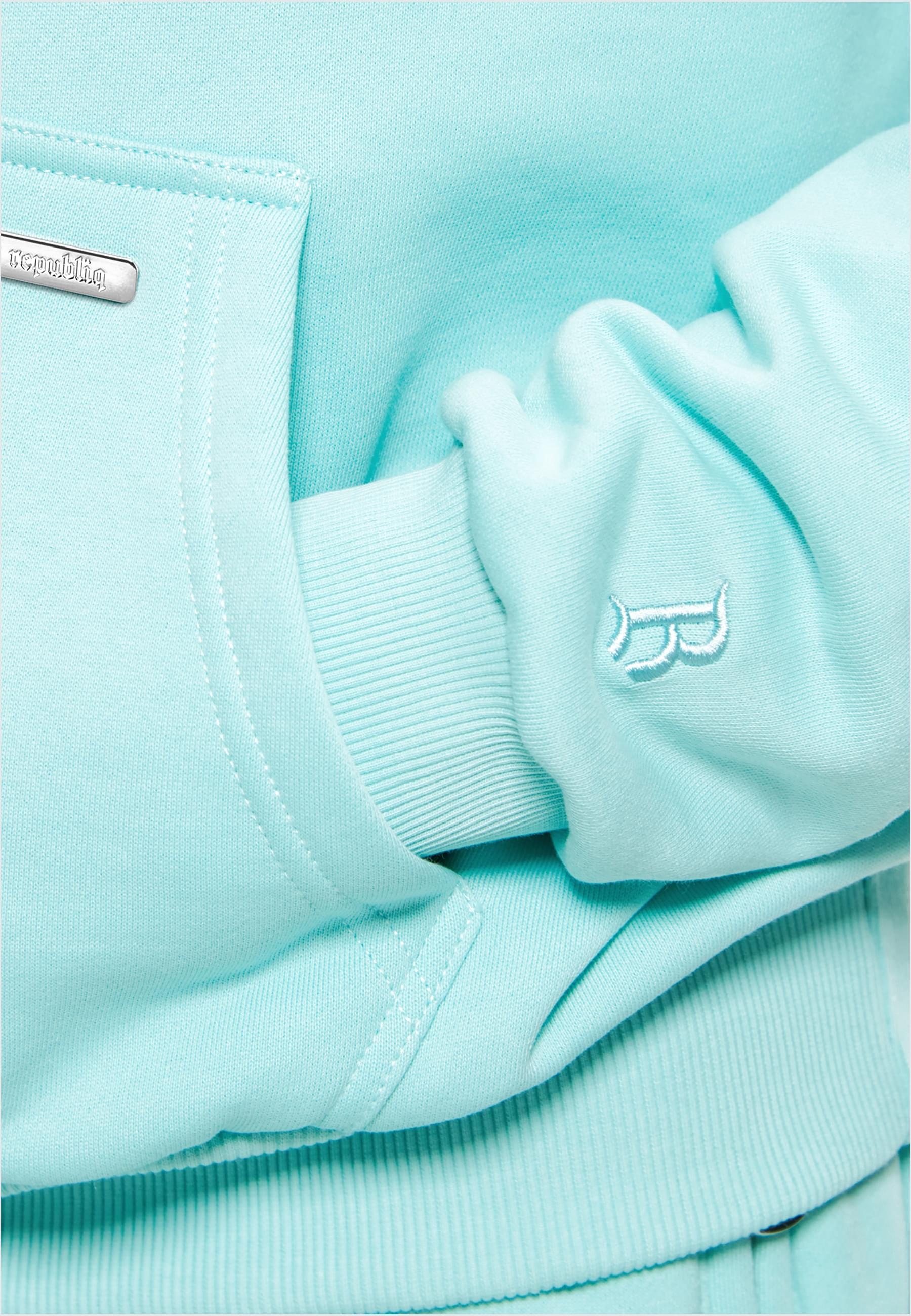 Dropsize Kapuzensweatshirt »Dropsize Herren Bazix Republiq Super Heavy Blank Hoodie«, 1 Stk.
