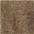 taupe + Felloptik