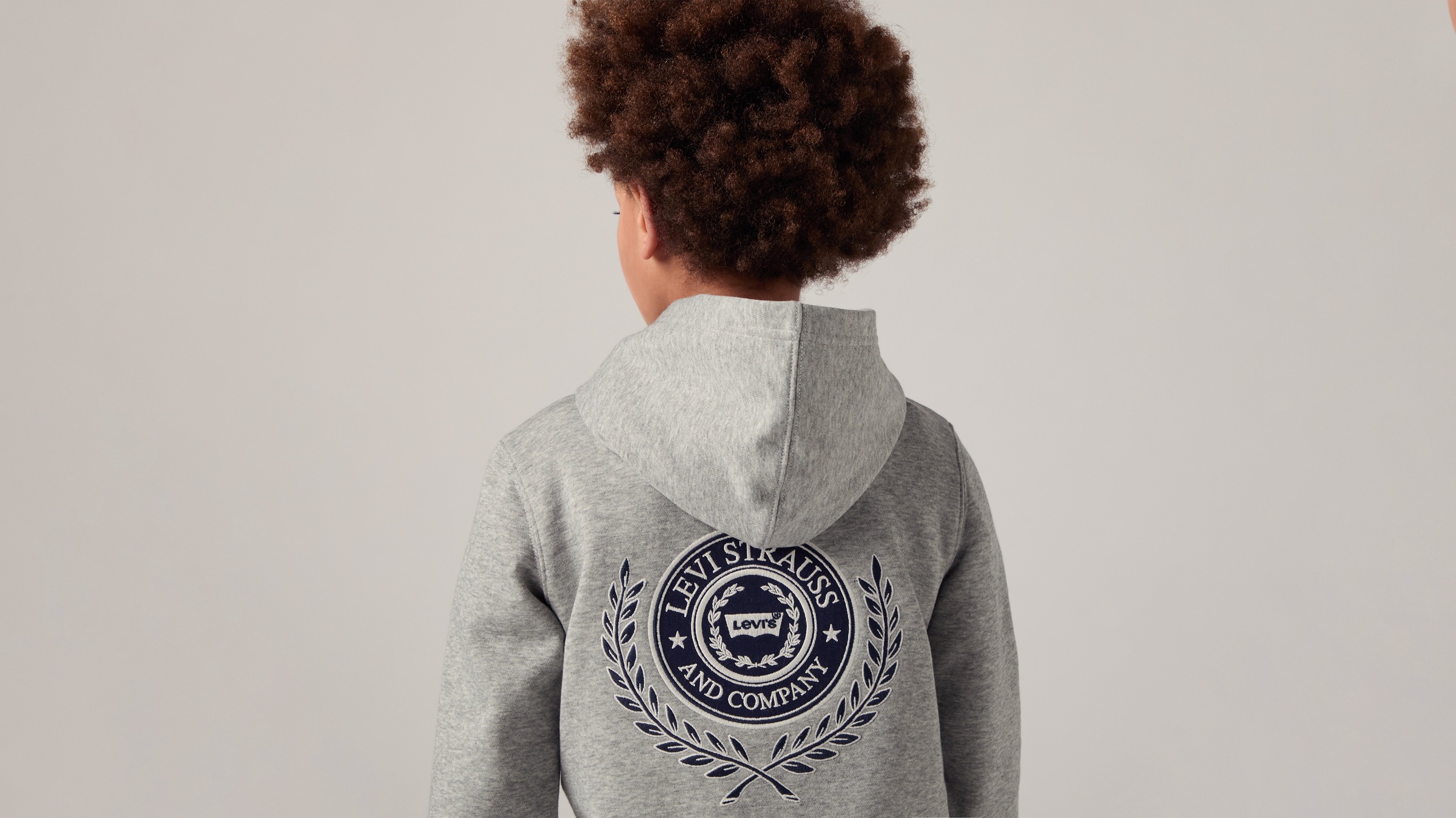 Levi's® Kids Kapuzensweatshirt »LVB MODERN CREST HOODIE«, for Boys
