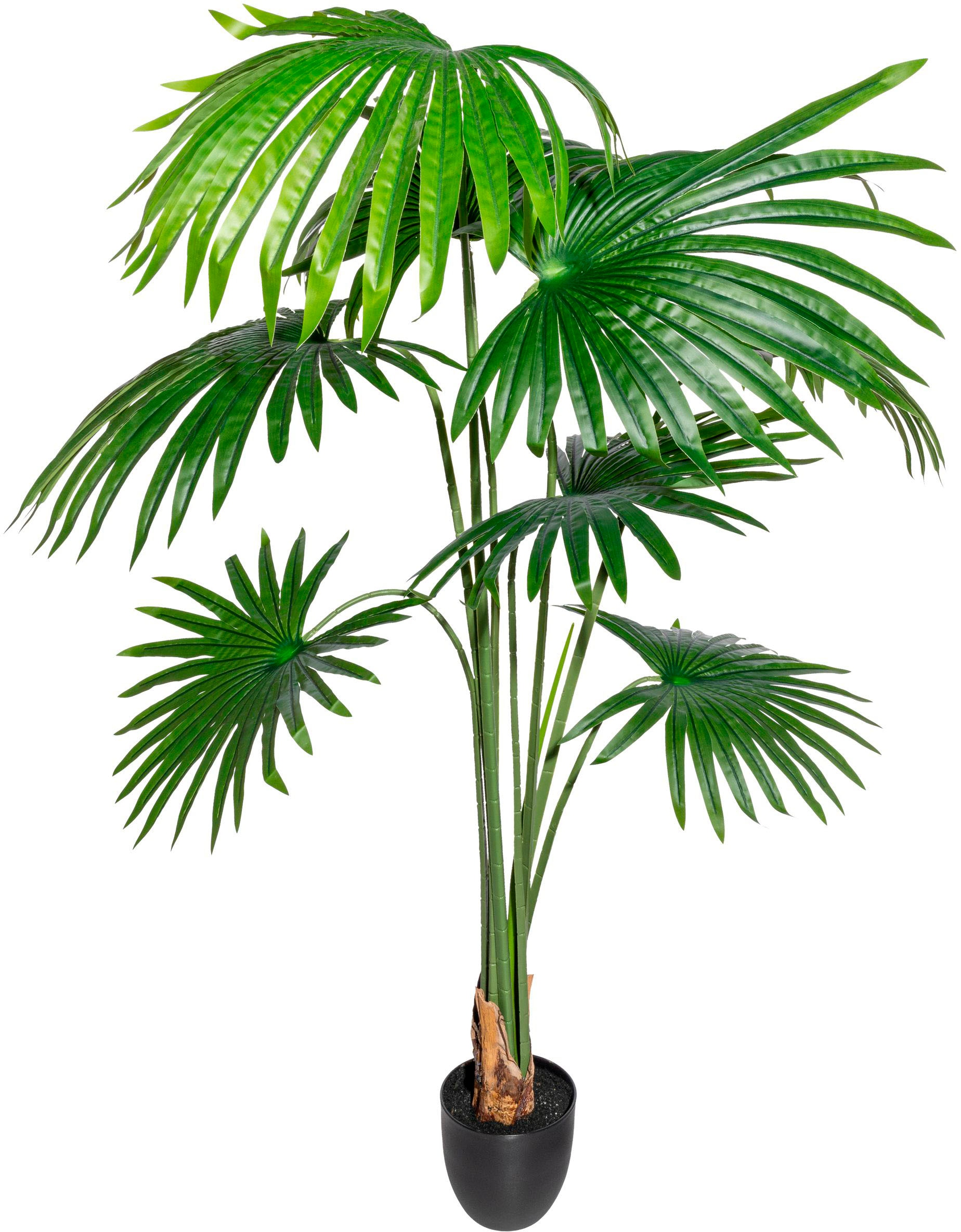 Creativ green Kunstbaum "Washingtonia"