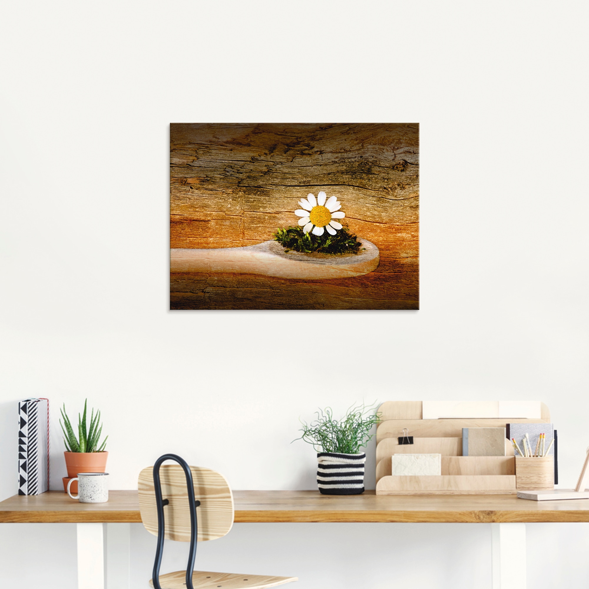 Artland Glasbild »Kamille«, Blumen, (1 St.), in verschiedenen Größen