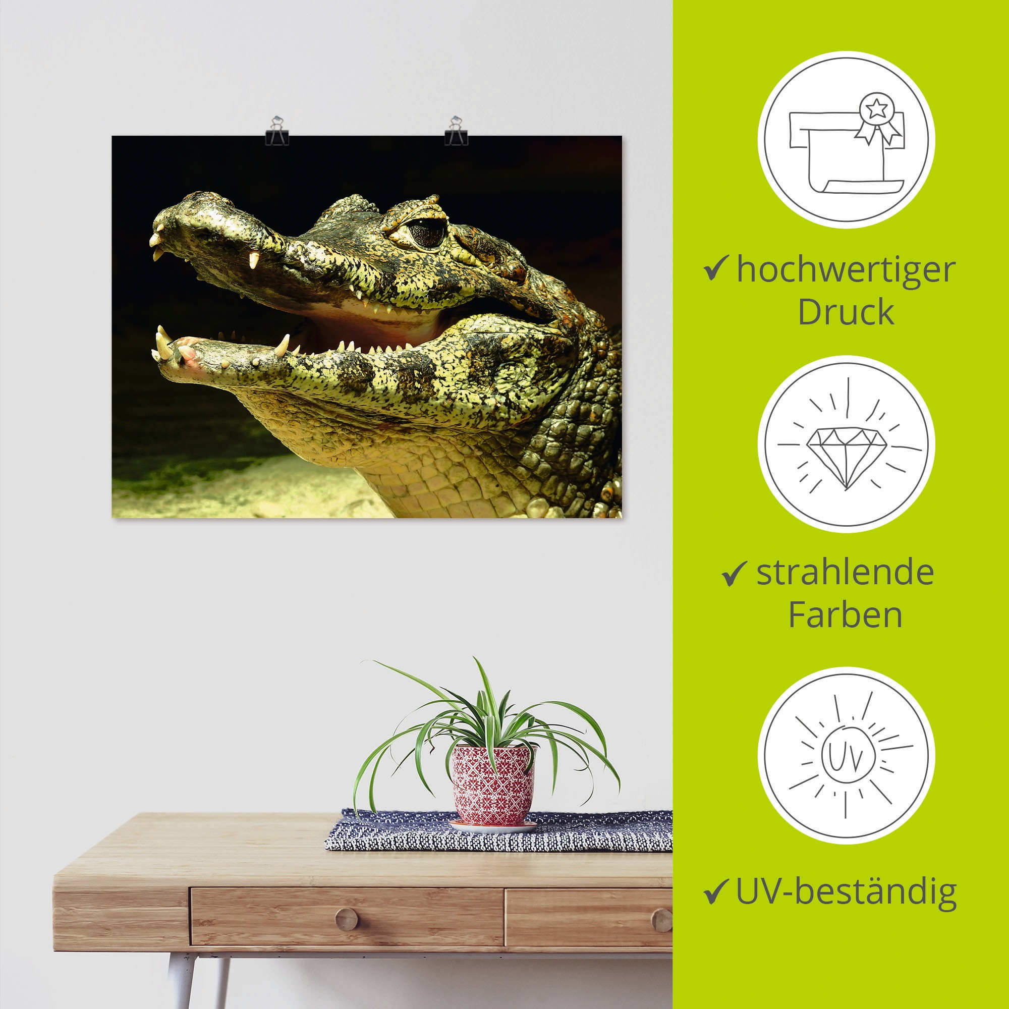 Artland Wandbild »Ein lächelndes Krokodil«, Wassertiere, (1 St.), als Poster, Wandaufkleber in verschied. Größen