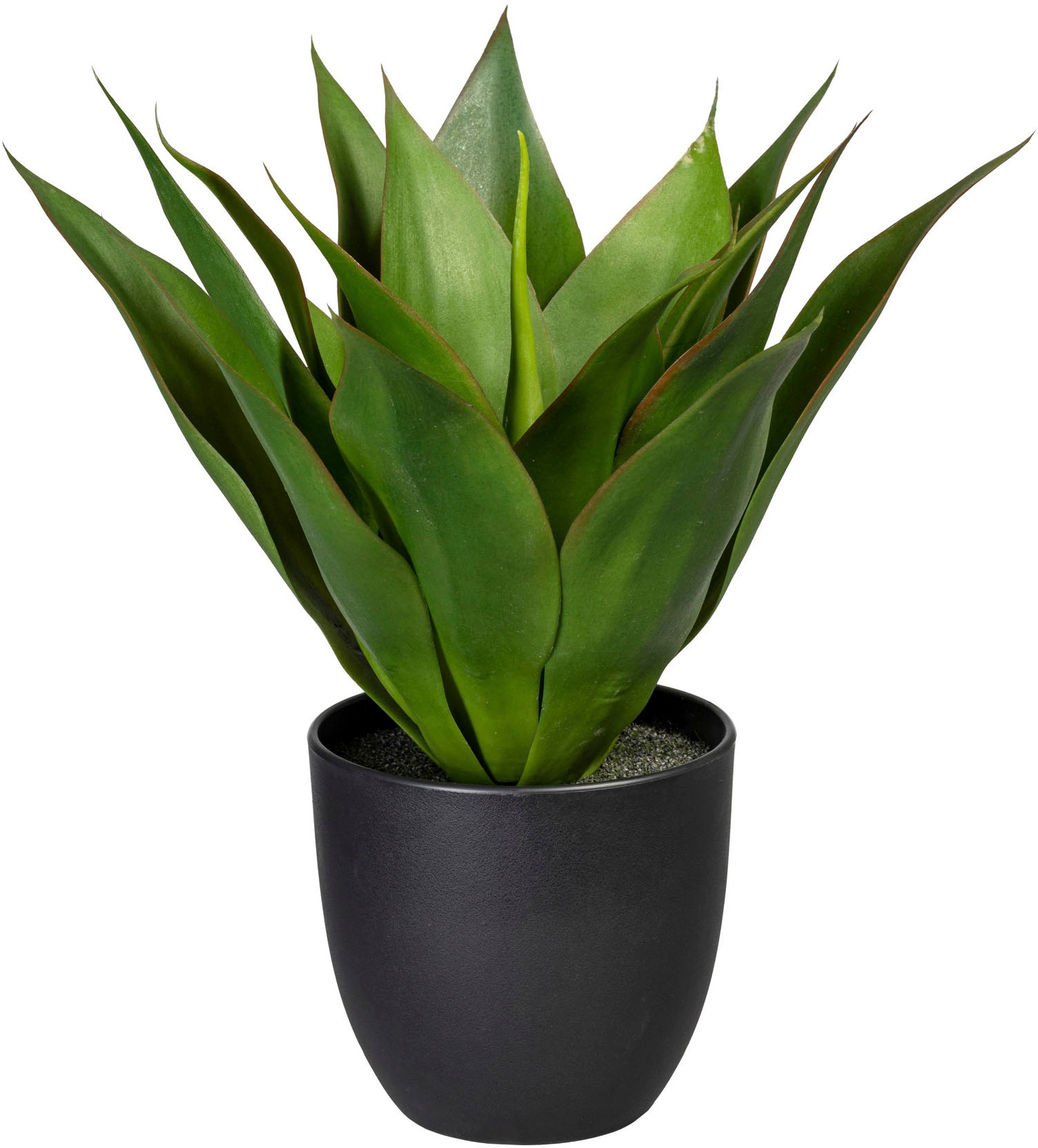 Creativ green Künstliche Zimmerpflanze "Agave" günstig online kaufen