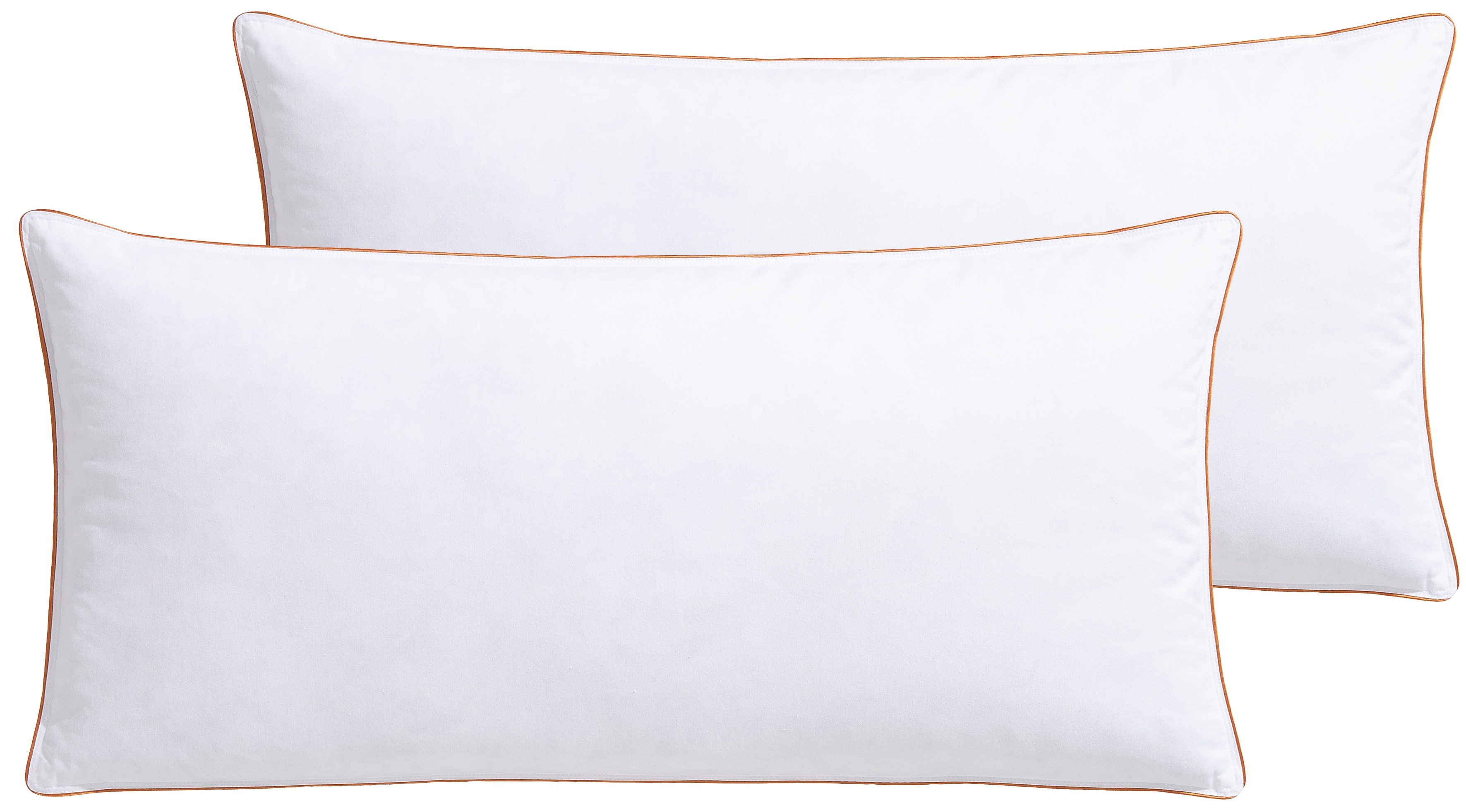 RIBECO Federkissen "Kopfkissen Richard, Kissen mit Daunenanteil, in 40x80 oder 80x80 cm" Füllung: 90% Federn & 10 % Daunen 2 Stk. tlg. Seit 105 Jahren überzeugt RIBECO durch Qualität