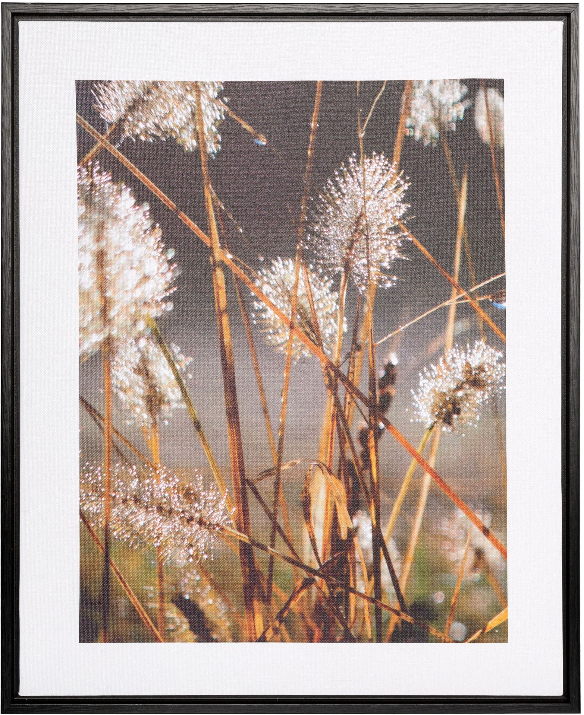 Creativ home Bild mit Rahmen "Leinwandbild Blüten mit Tropfen" 1 Stk. tlg. günstig online kaufen