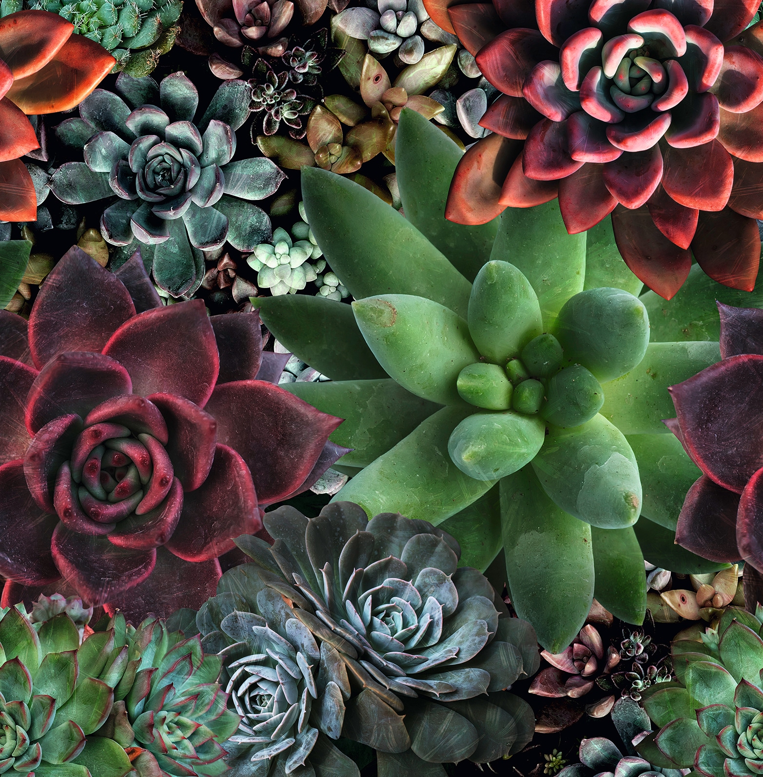 Marburg Fototapete botanisch moderne Tapete für Wohnzimmer Schlafzimmer Küche