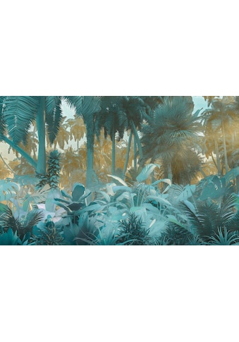 Komar Vliestapete »Misty Jungle« 400x250 cm ...