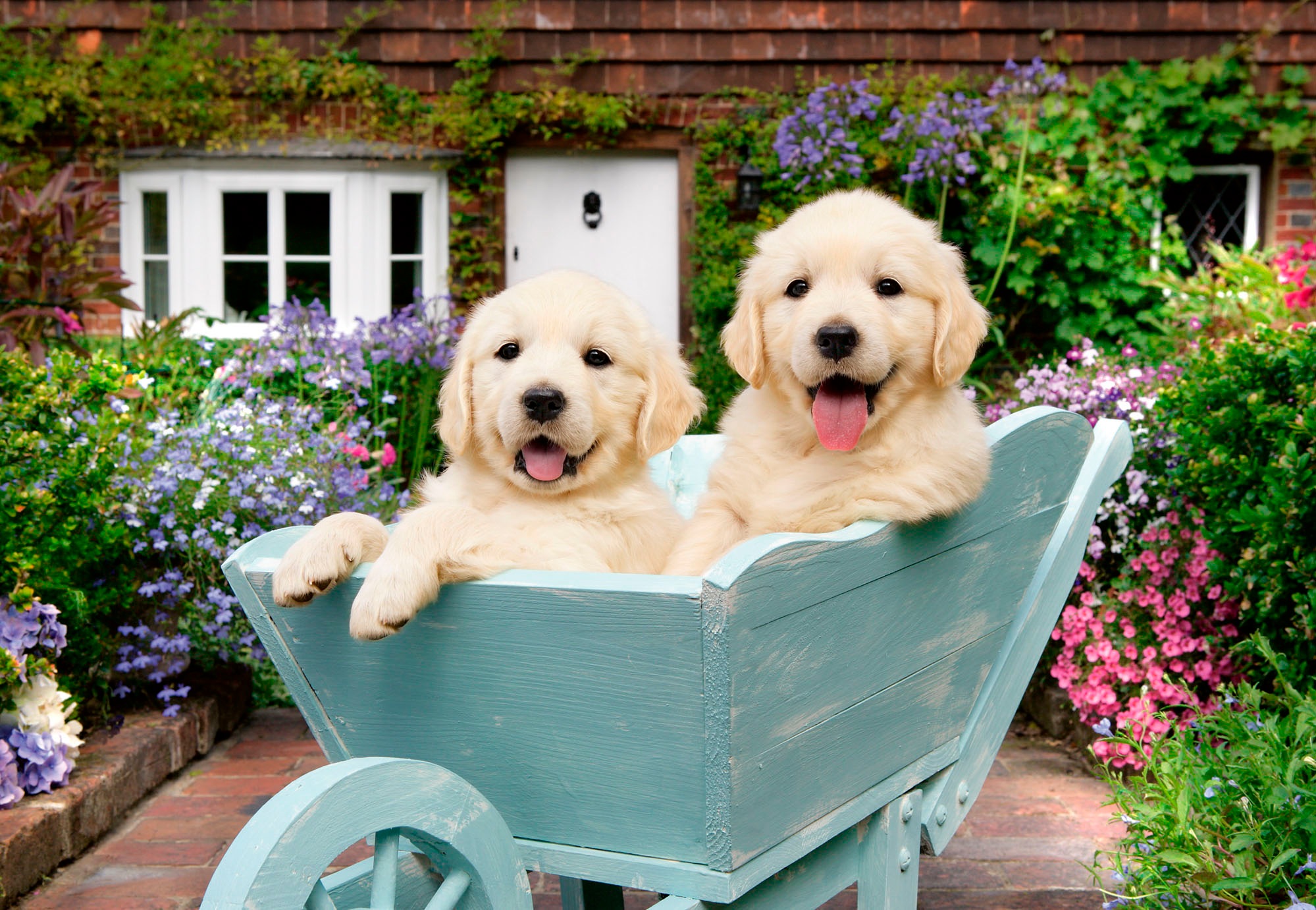 Ravensburger Puzzle »Feel Well & Puzzle, Golden Retriever«, XL, für Erwachsene, Made in Europe