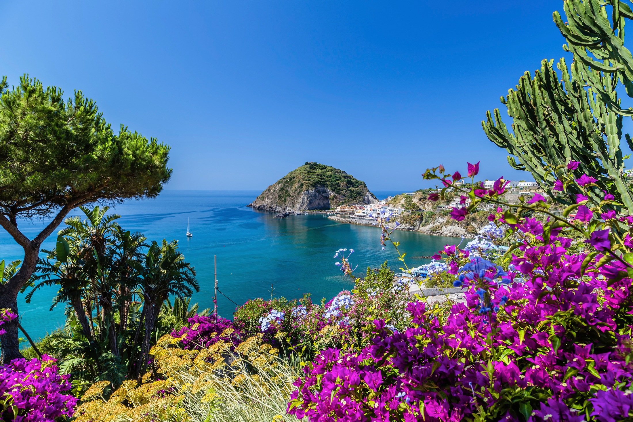 Papermoon Fototapete "ISCHIA ITALIEN-BOUGANVILLA INSEL MEER BLUME FELSEN WA günstig online kaufen