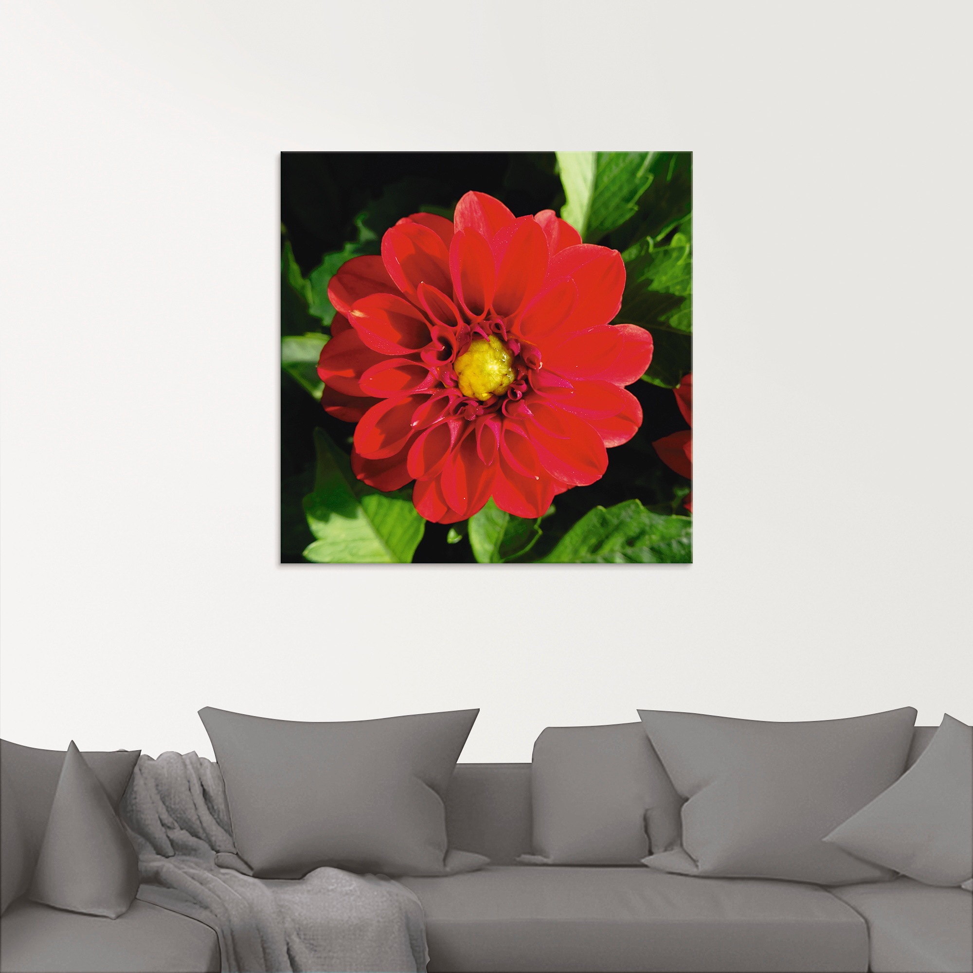 Artland Glasbild »Rote Dahlienblüte«, Blumen, (1 St.), in verschiedenen Größen