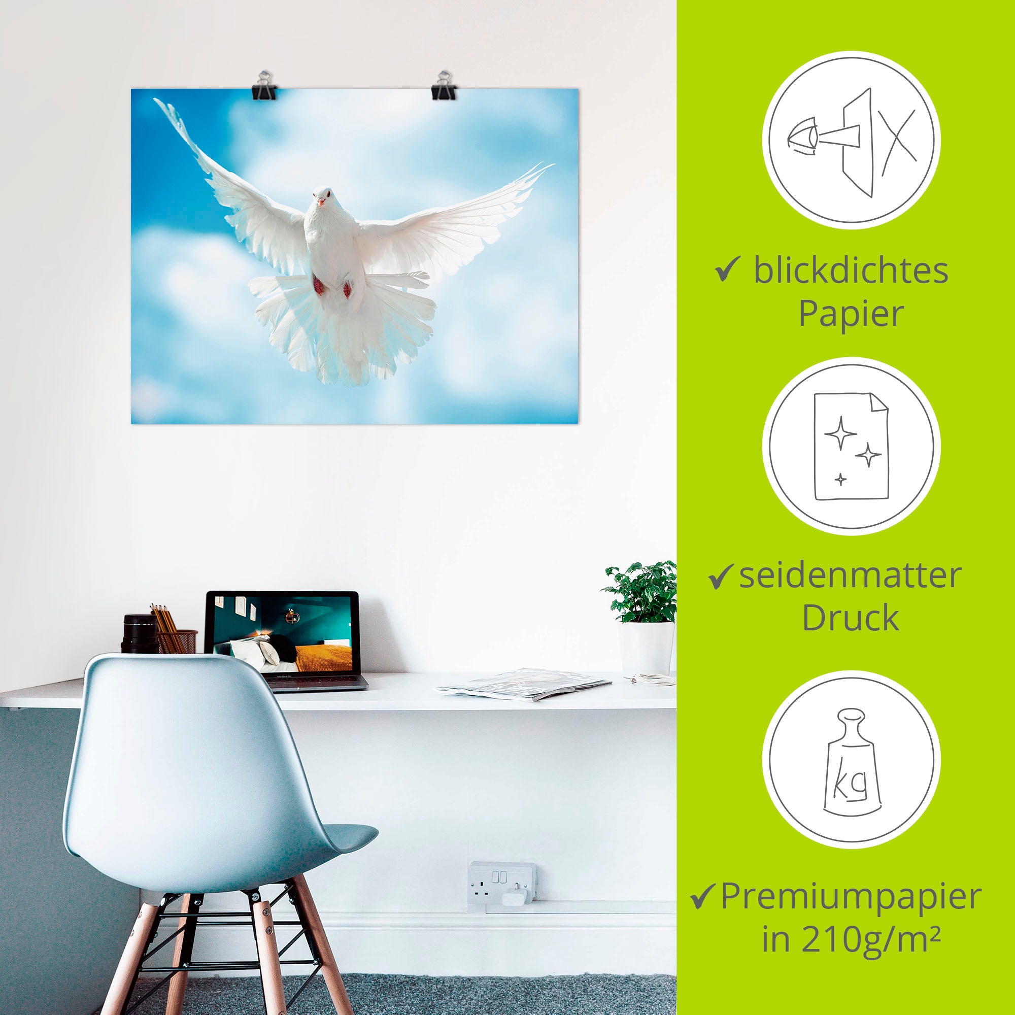 Artland Wandbild »Taube mit ausgebreiteten Flügeln« Vögel 1 Stk. tlg. als Alubild, Outdoorbild, Leinwandbild, Poster in verschied. Größen