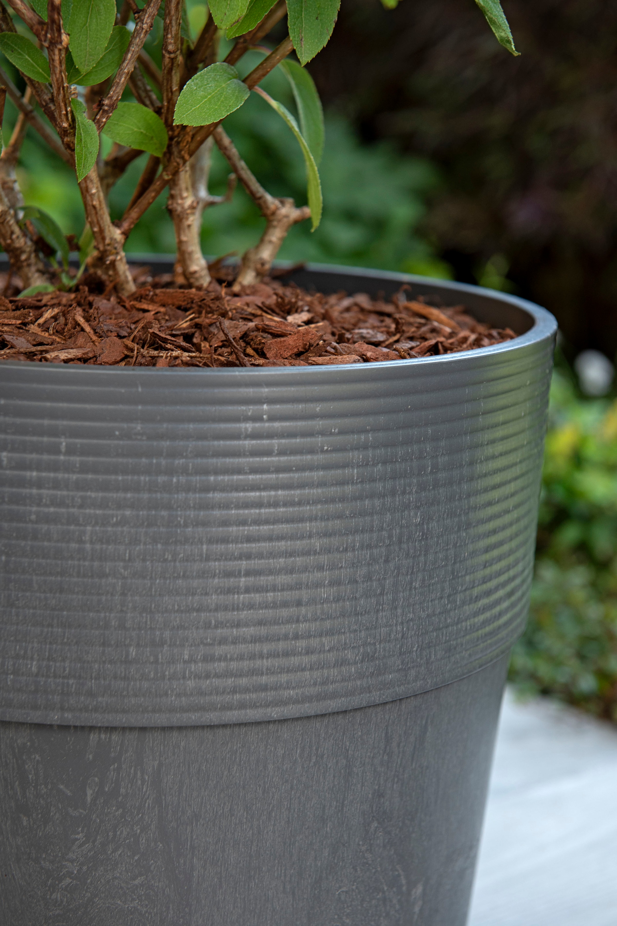 Scheurich Blumentopf »30/266 GROOVE+«