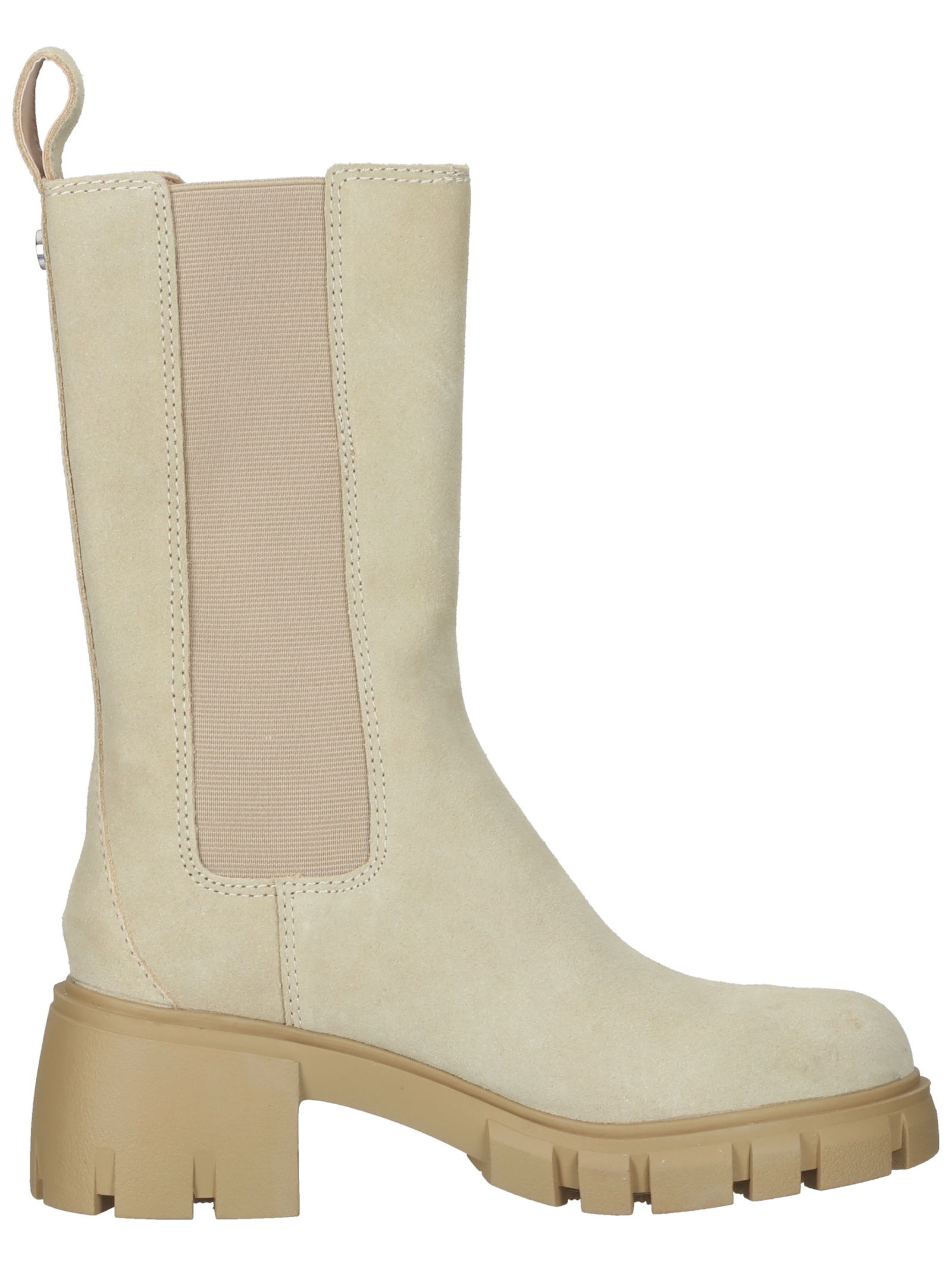 STEVE MADDEN Stiefelette »STEVE MADDEN Stiefelette Veloursleder/Textil«
