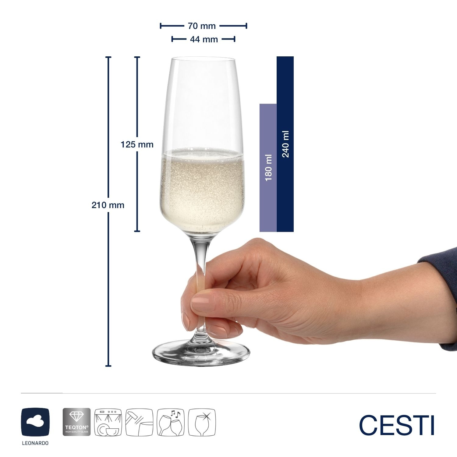 LEONARDO Sektglas »Sektgläser CESTI + Poliertuch«, (Set, 7 tlg.), 6 Sekt-Gläser mit Poliertuch