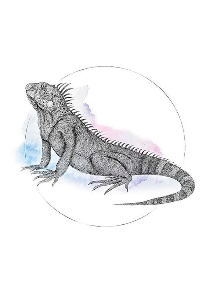 Komar Bild »Iguana Watercolor«, Tiere, (1 St.), Wandbild zur Dekoration - ohne Rahmen