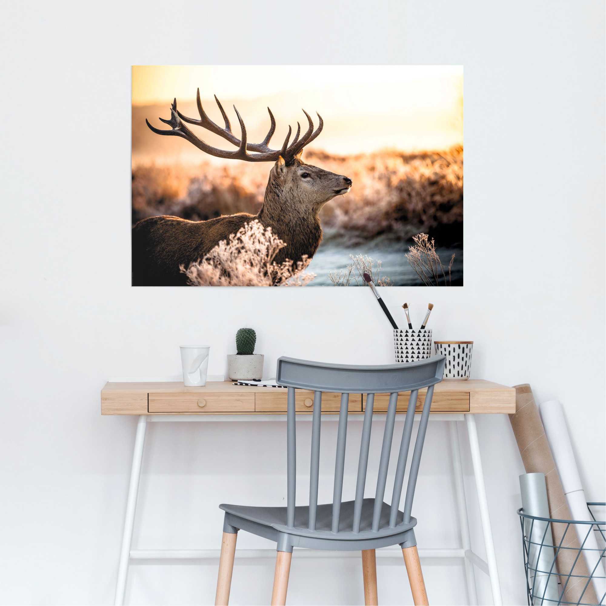 Reinders Poster "Hirsch im Wald", (1 St.) günstig online kaufen