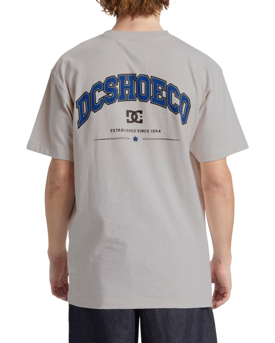 DC Shoes T-Shirt »Orientation«