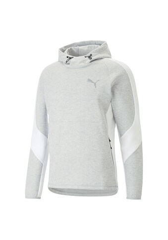 PUMA Sweater »evoStripe Hoodie Herren« kaufen