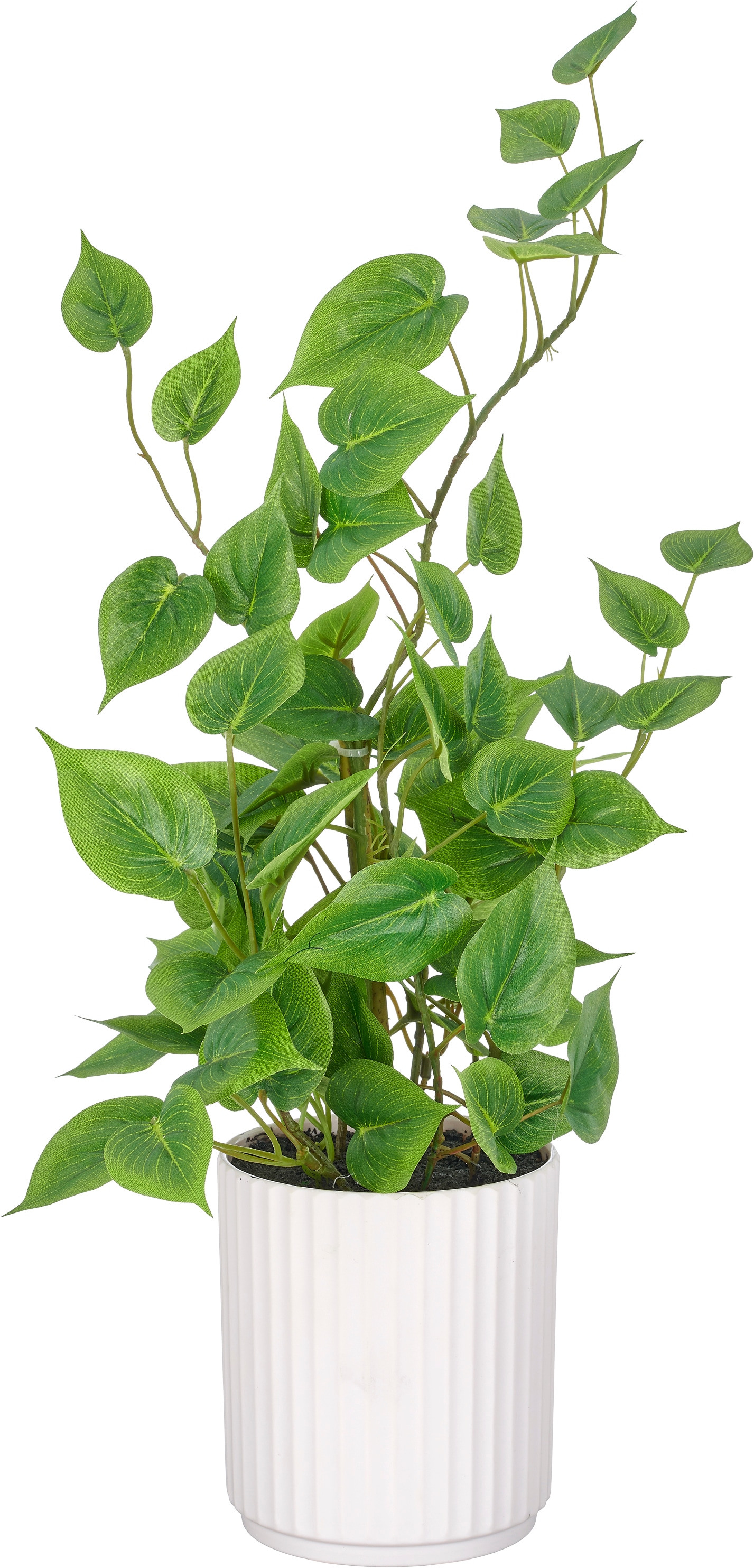 Creativ green Künstliche Zimmerpflanze "Philodendron hederaceum" im Design-Topf