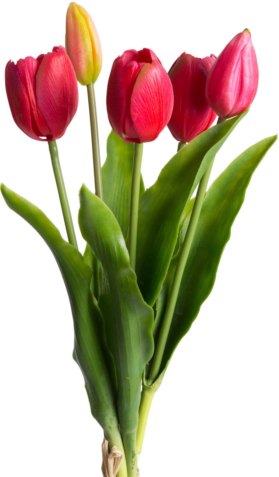 OTTO home Kunstblume "Tulpenbündel Holland real Touch"