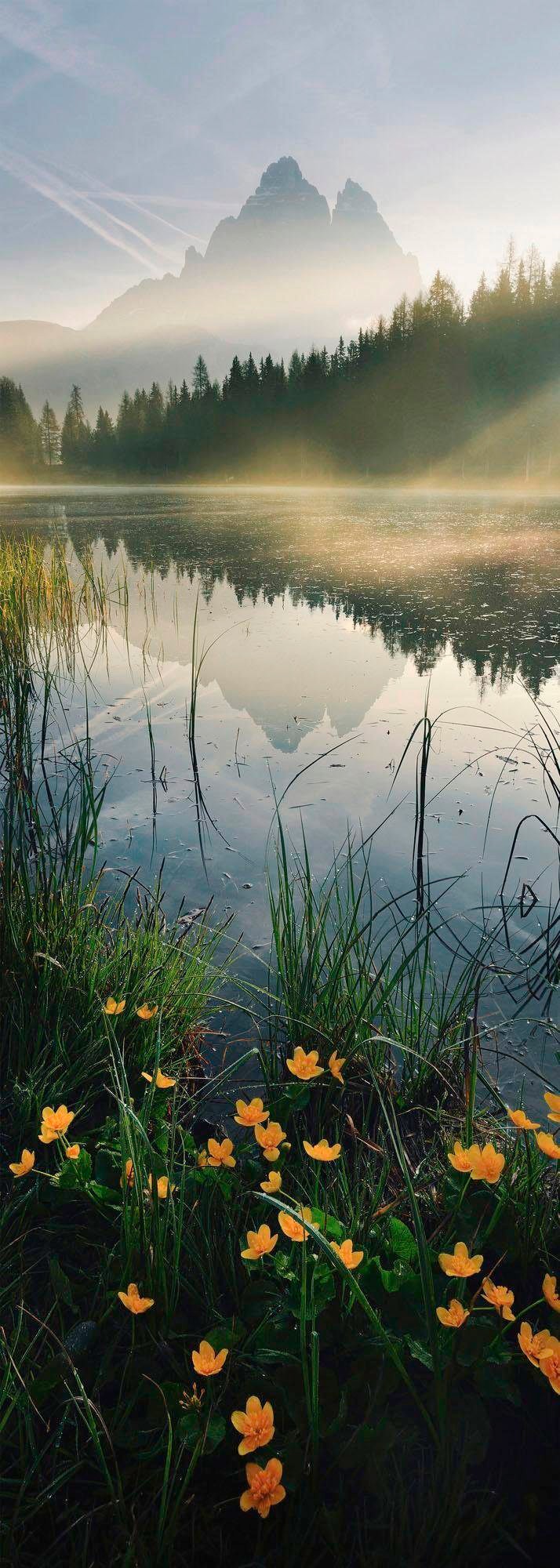 Komar Vliestapete "Digitaldruck Vlies - Morning Mist - Größe 100 x 280 cm", bedruckt, Wohnzimmer, Schlafzimmer