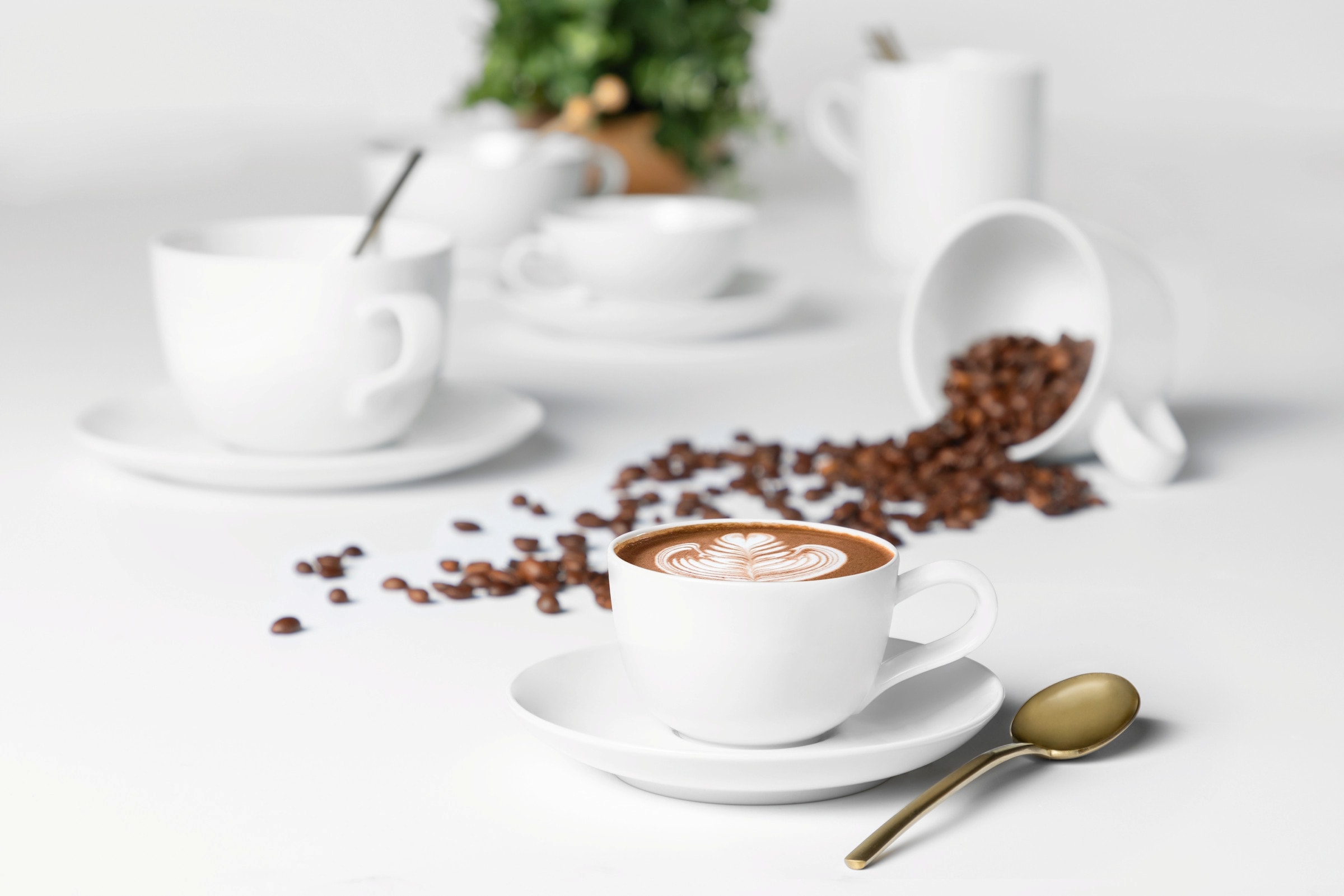 Seltmann Weiden Kaffeeservice »Geschirr-Set, Service Liberty«, (Set, 18 tlg.), Teller Set, Tassen, weiß, Made in Germany, 18 Teile, für 6 Personen