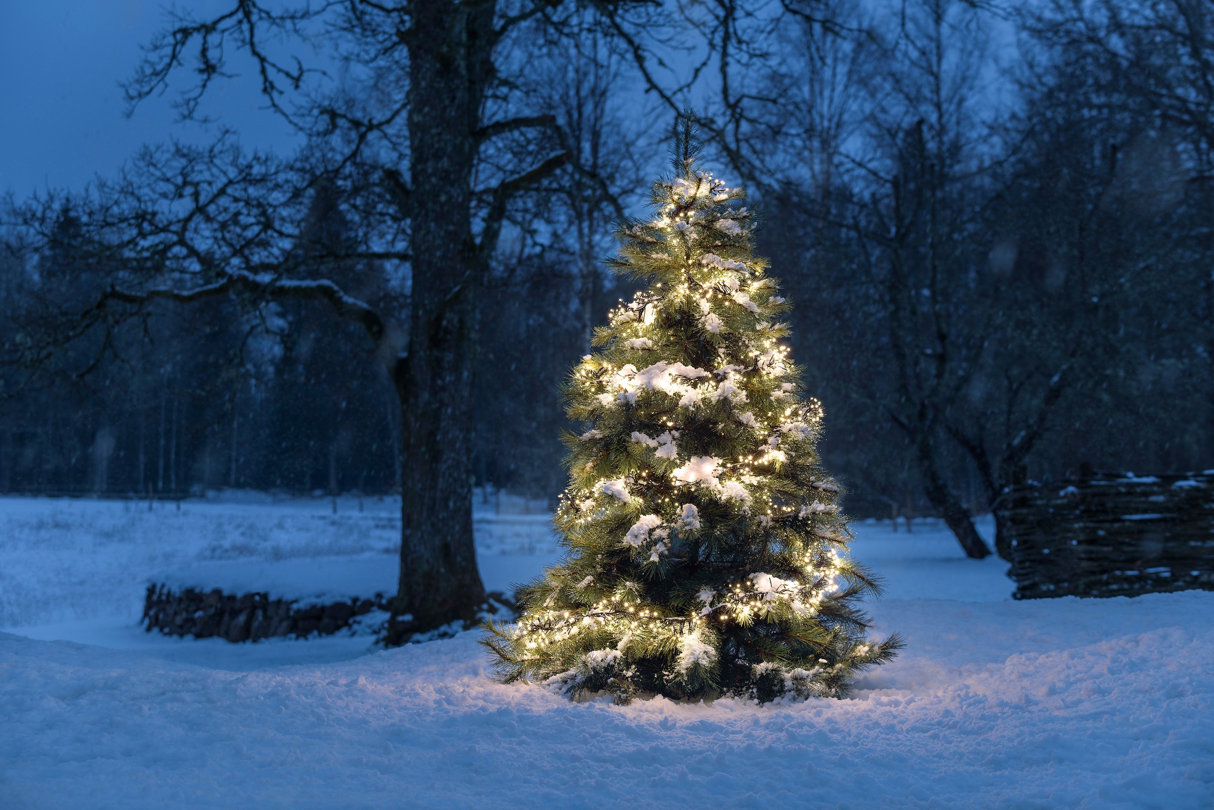 KONSTSMIDE LED-Lichterkette »Büschellichterkette Cluster, Weihnachtsdeko Dioden 8 | Funktionen bestellen warmweißen BAUR und 1152 mit aussen«