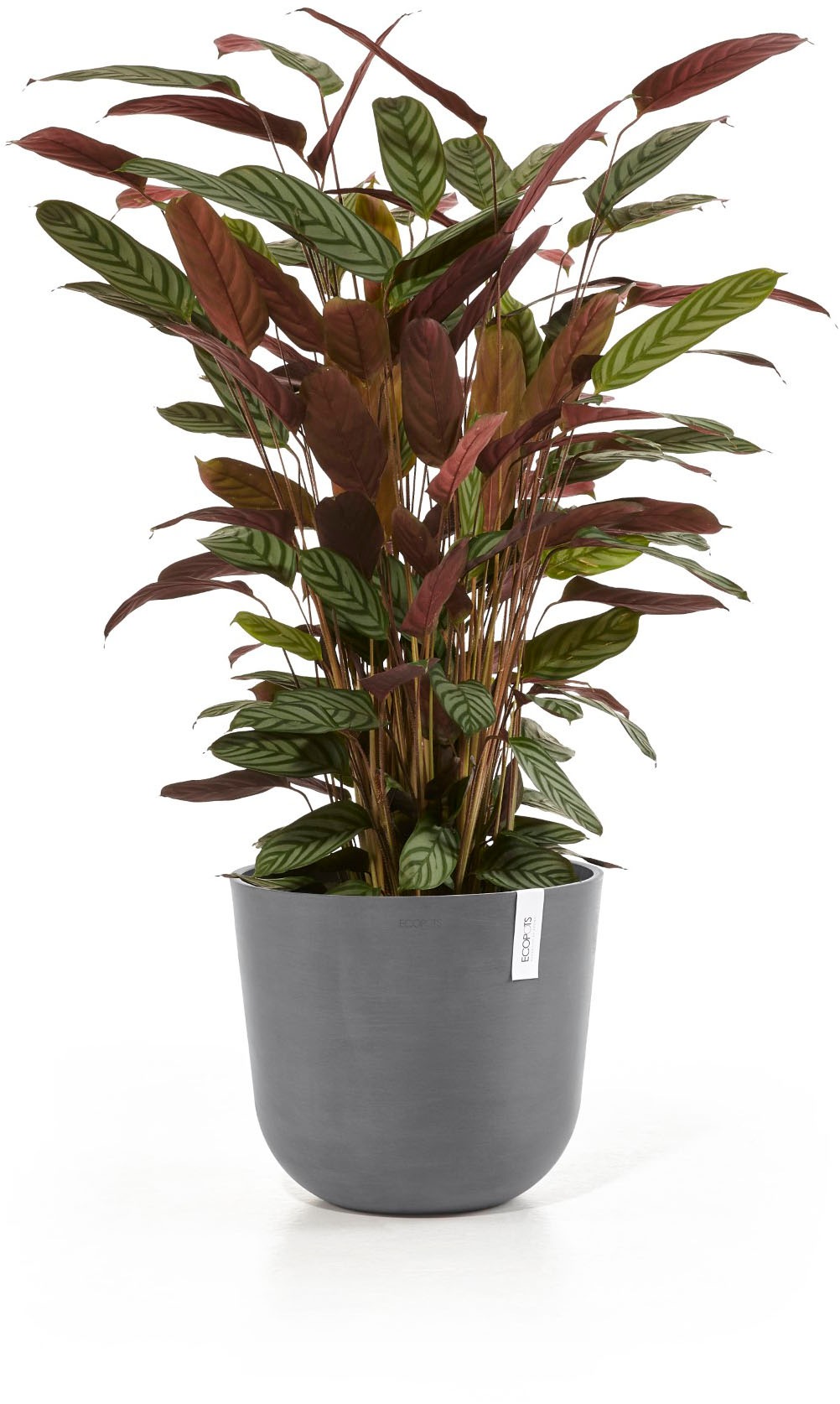 ECOPOTS Blumentopf »Oslo 35 Grau« für innen und außen: frostsicher, bruchsicher und lichtbeständig