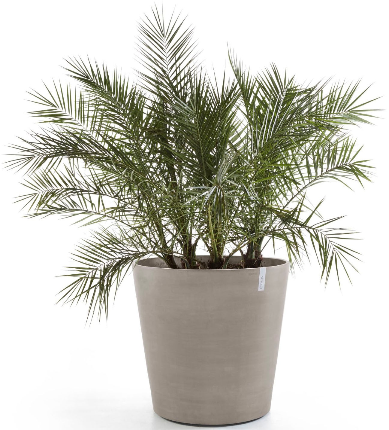 ECOPOTS Blumentopf »Amsterdam mit Rollen 100 Taupe« für innen und außen: frostsicher, bruchsicher und lichtbeständig