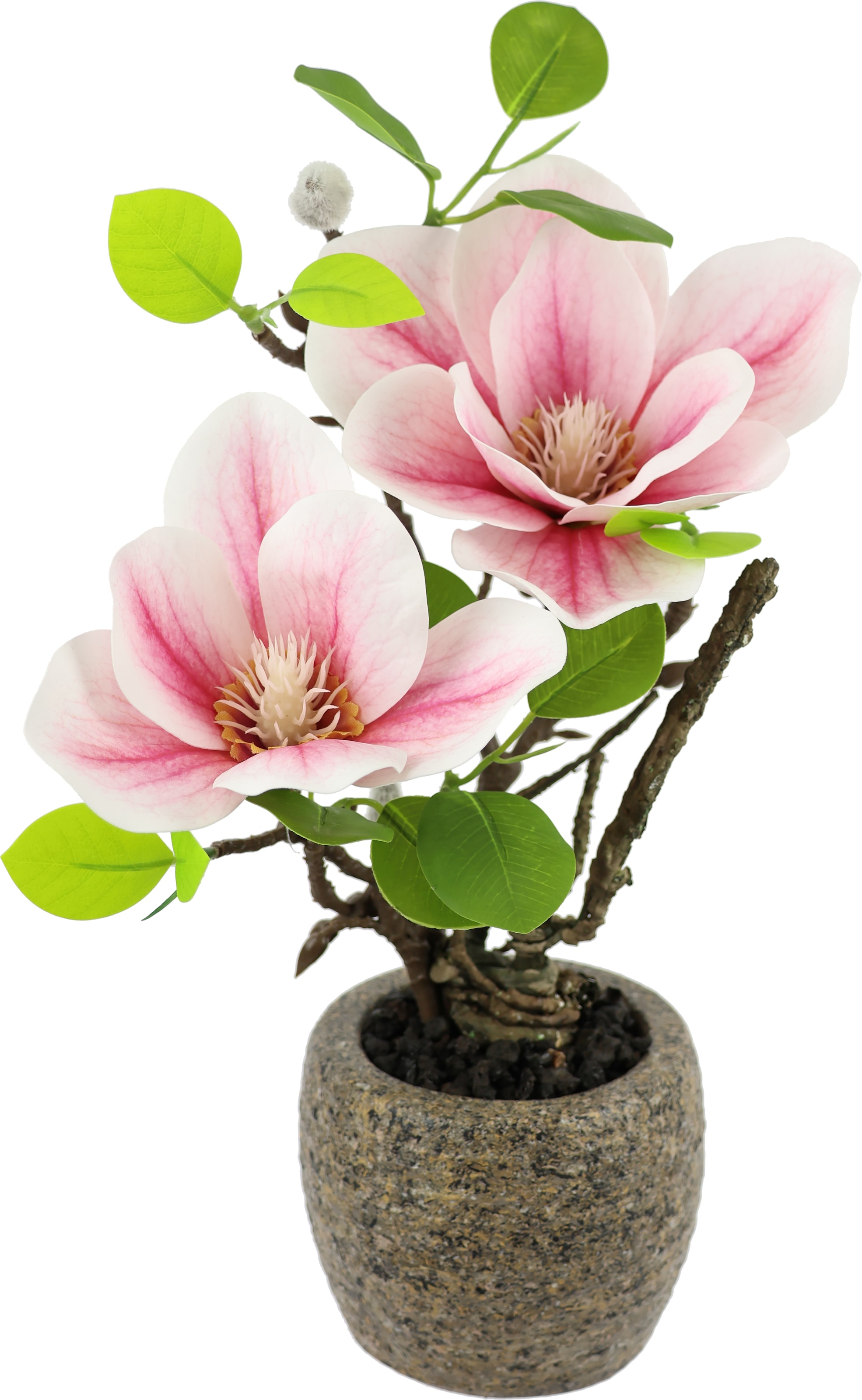 I.GE.A. Kunstblume "Magnolie im Topf", Künstlich wie echt Deko Blume Zimmer günstig online kaufen