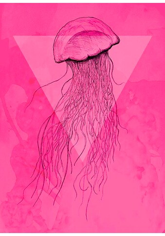 Komar Poster »Jellyfish Pink« Tiere (1 St.) ...