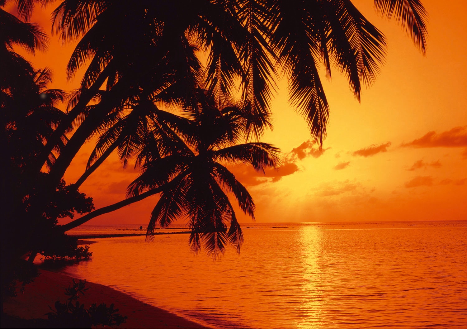 Papermoon Fototapetas »Tropic Sunset«